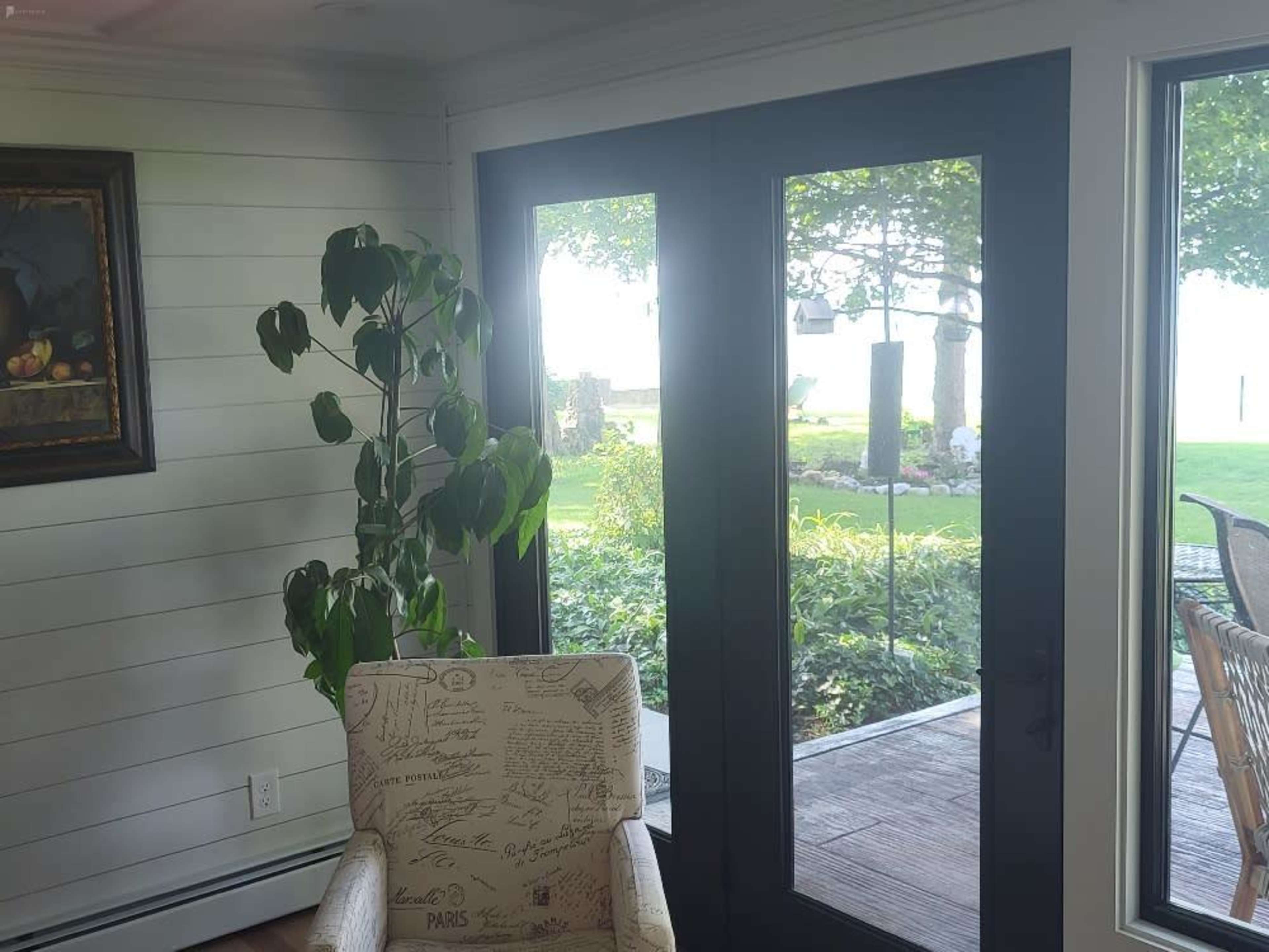 A potted plant stands next to a large set of glass doors leading to a grassy outdoor area, with sunlight streaming in.