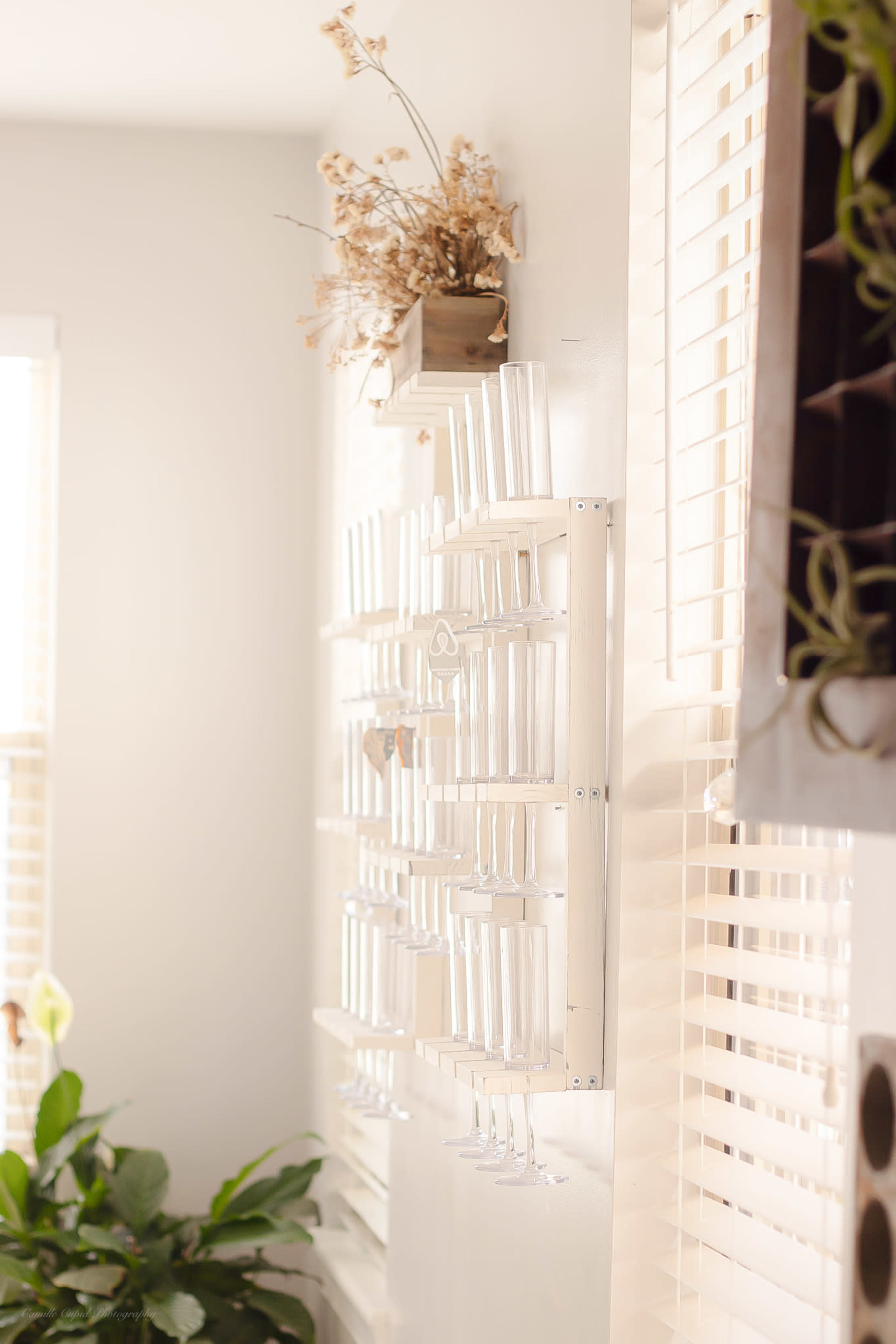 A wall-mounted glass rack displaying several clear glasses next to a window with light streaming through and a plant in the foreground.