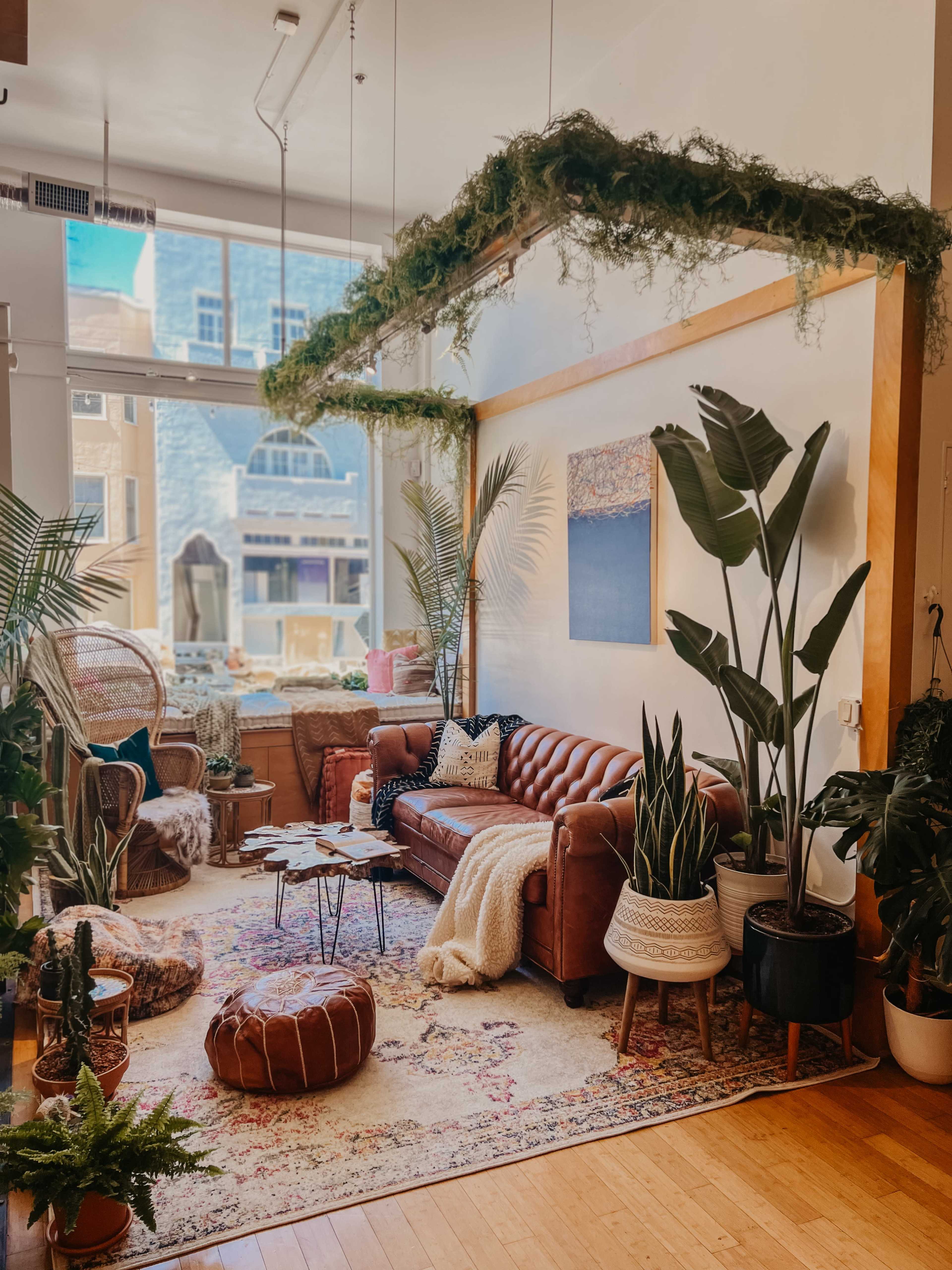 A cozy living room featuring a brown leather sofa, various indoor plants, a colorful area rug, and a decorative overhead plant arrangement.