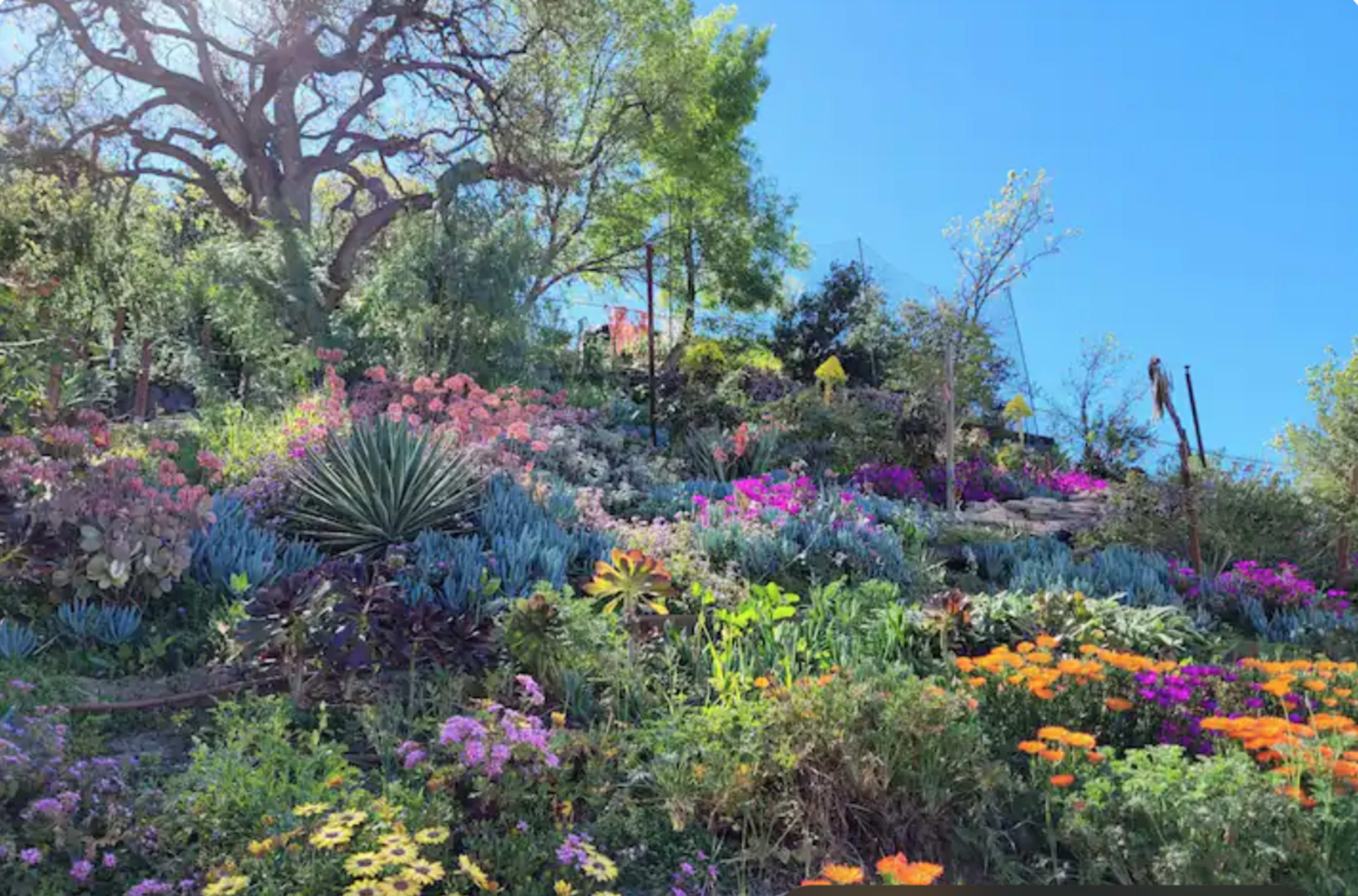 A hillside covered with a variety of colorful flowers and plants under a clear blue sky.