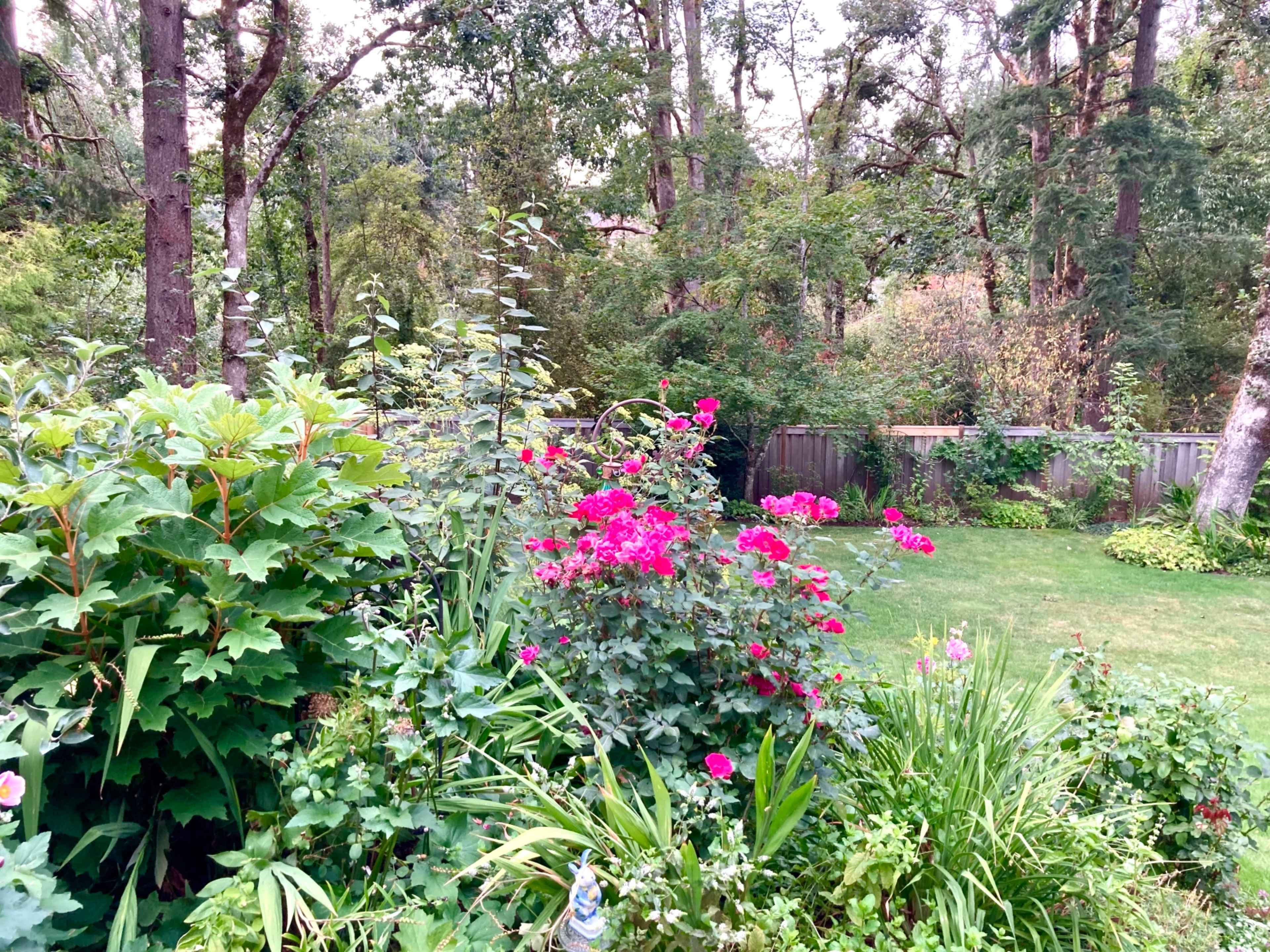 A garden filled with vibrant pink flowers and lush greenery is bordered by a wooded area in the background.