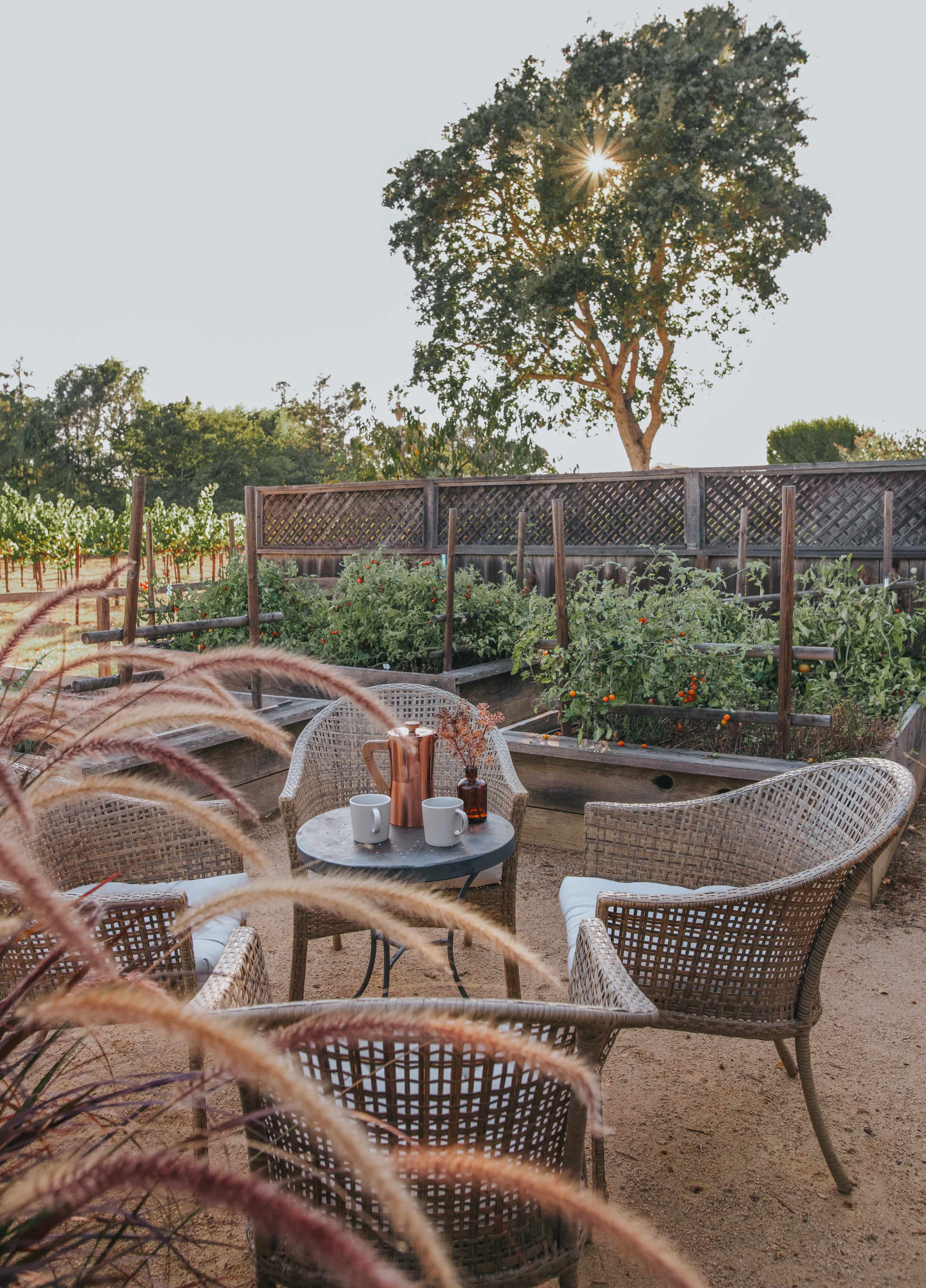 A cozy seating area with four wicker chairs and a small table is set amidst a garden with a tree and planted rows in the background.