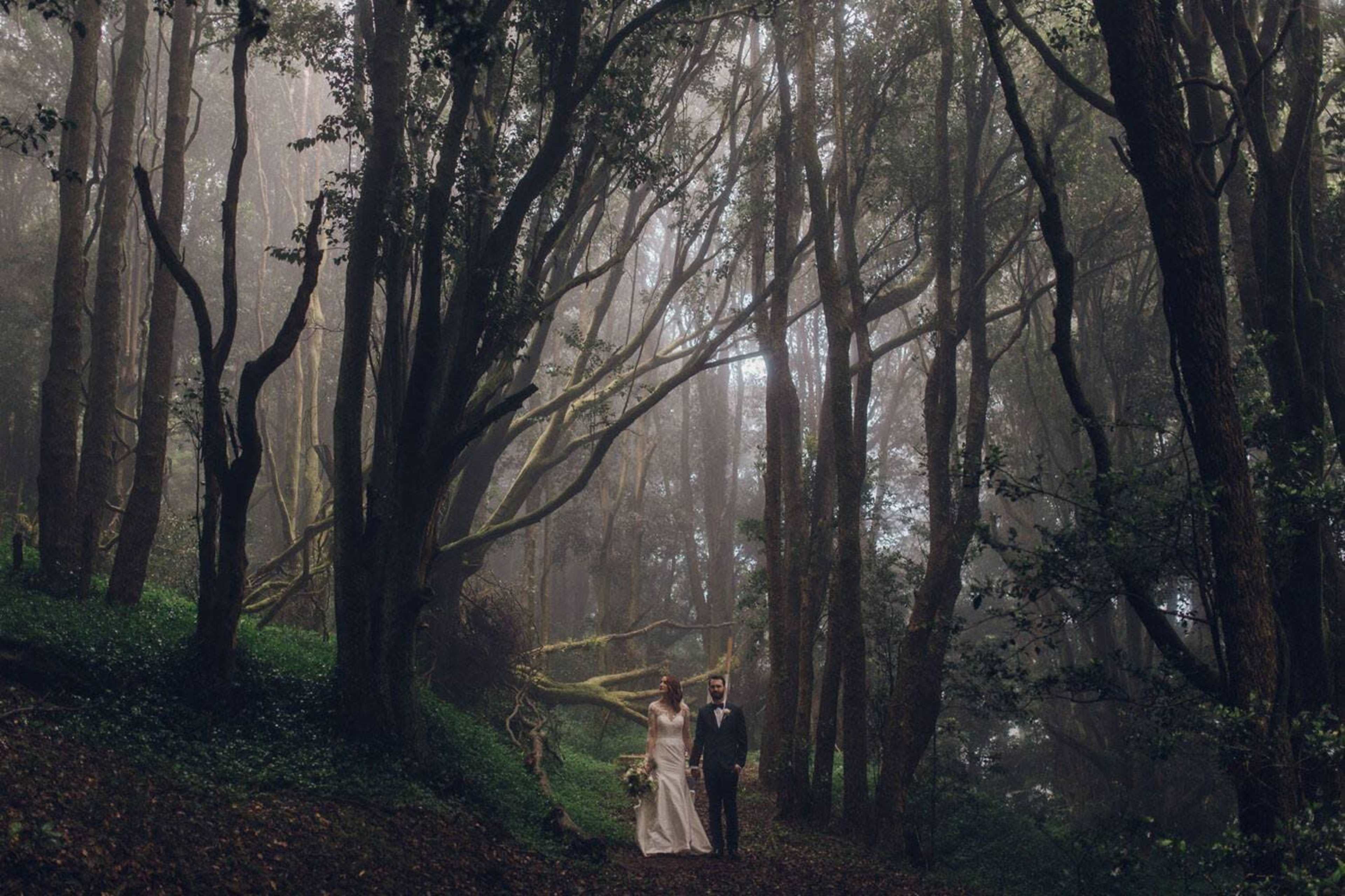 A couple walks hand in hand through a misty forest filled with tall trees.