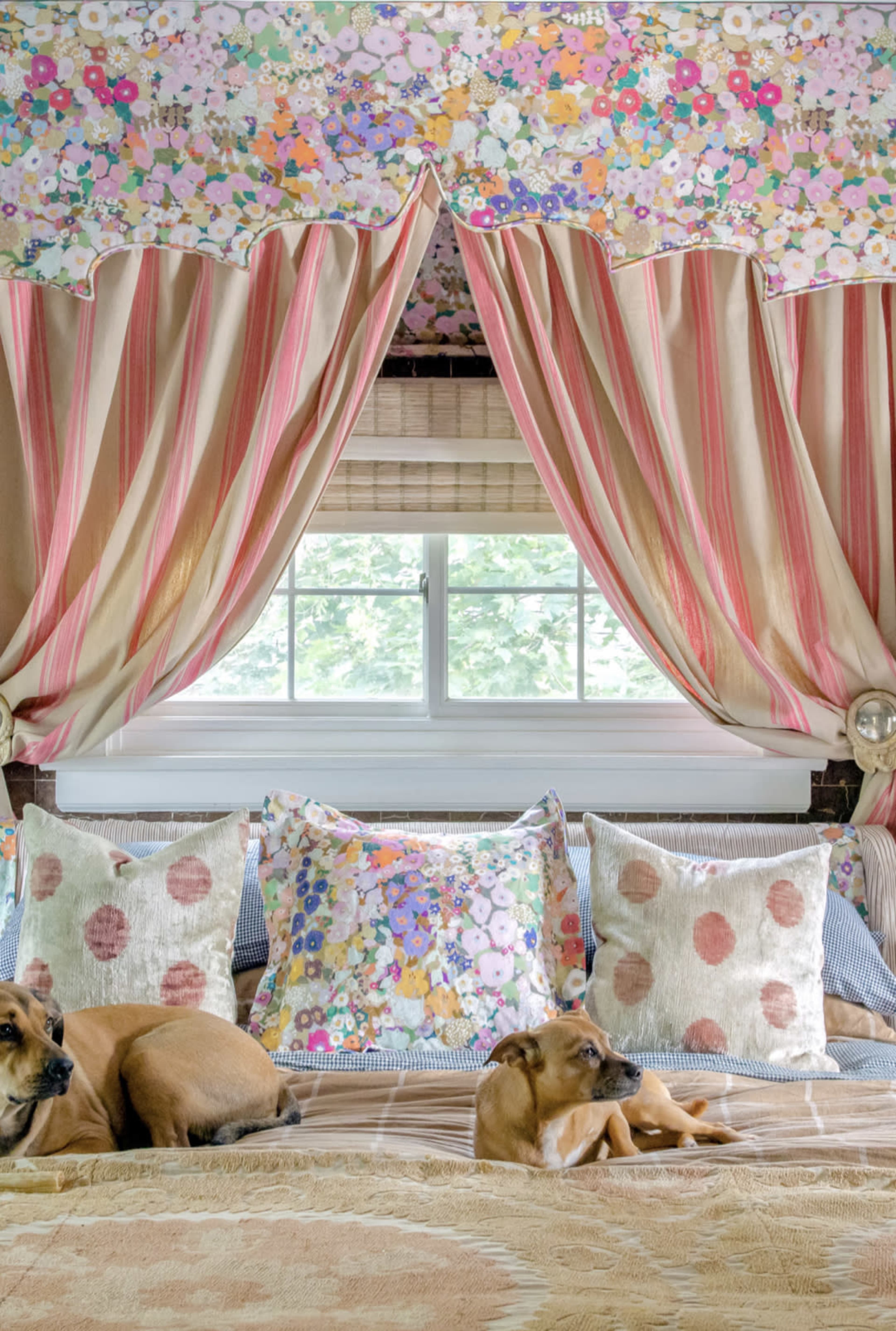 A bed with colorful floral and striped curtains features decorative pillows, while two dogs lie on the bed near the window.