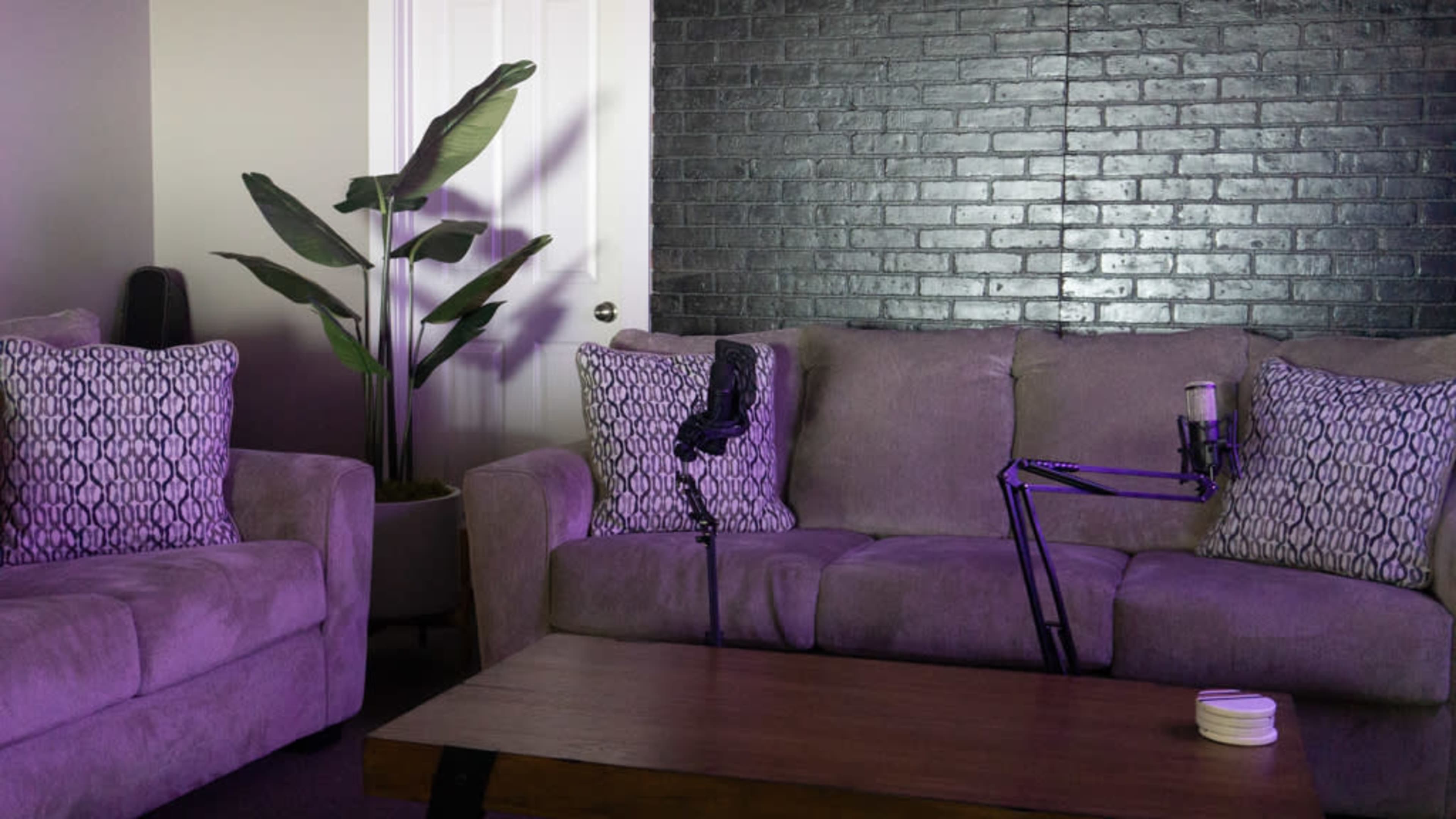 A living room features two sofas with decorative pillows, a coffee table, and a potted plant beside a black brick wall.