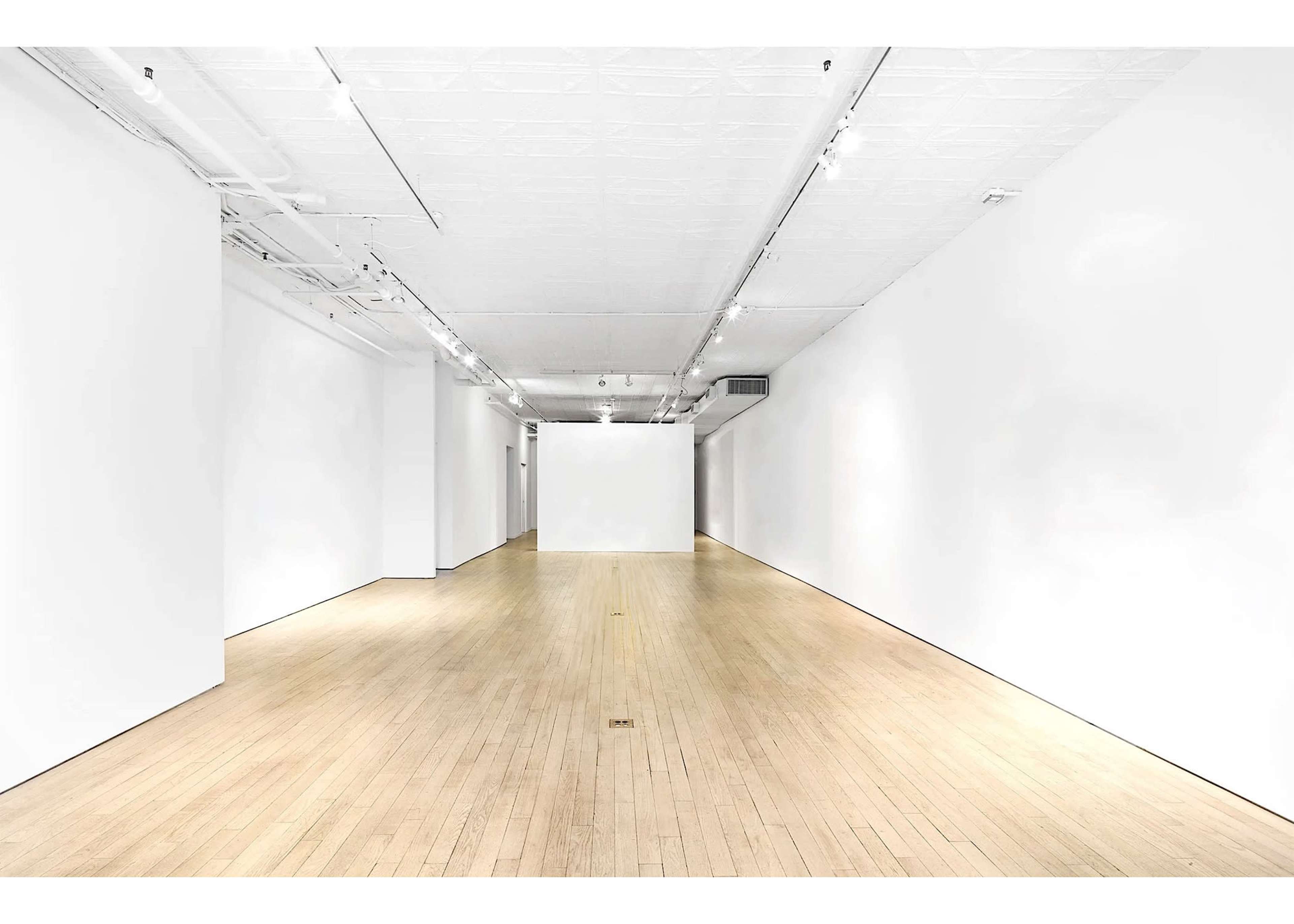 Unique Ground Floor Loft_LES Image in Lower East Side, New York, NY
