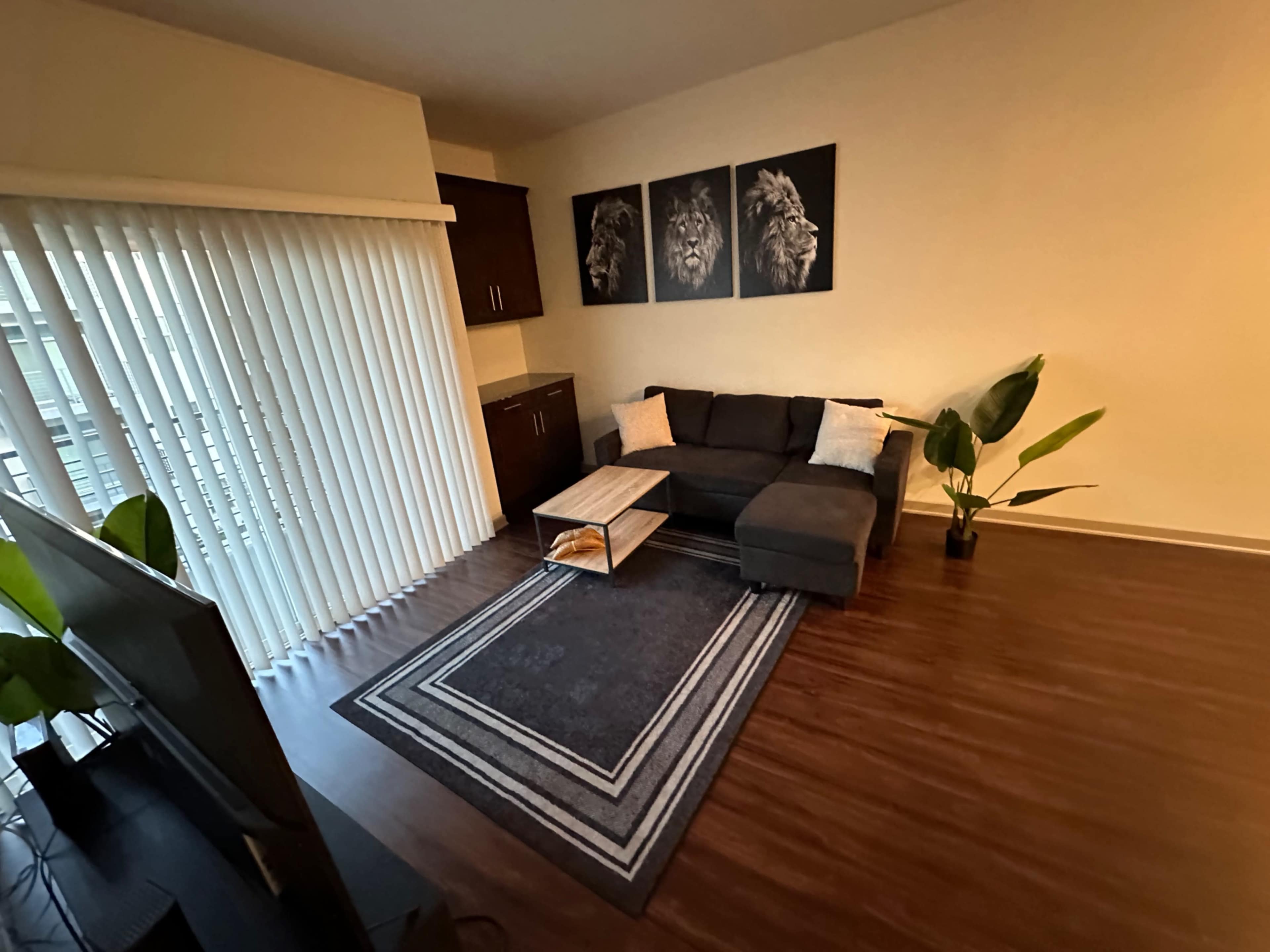 A cozy living room featuring a sectional couch, a coffee table on a rug, and three framed lion portraits on the wall.