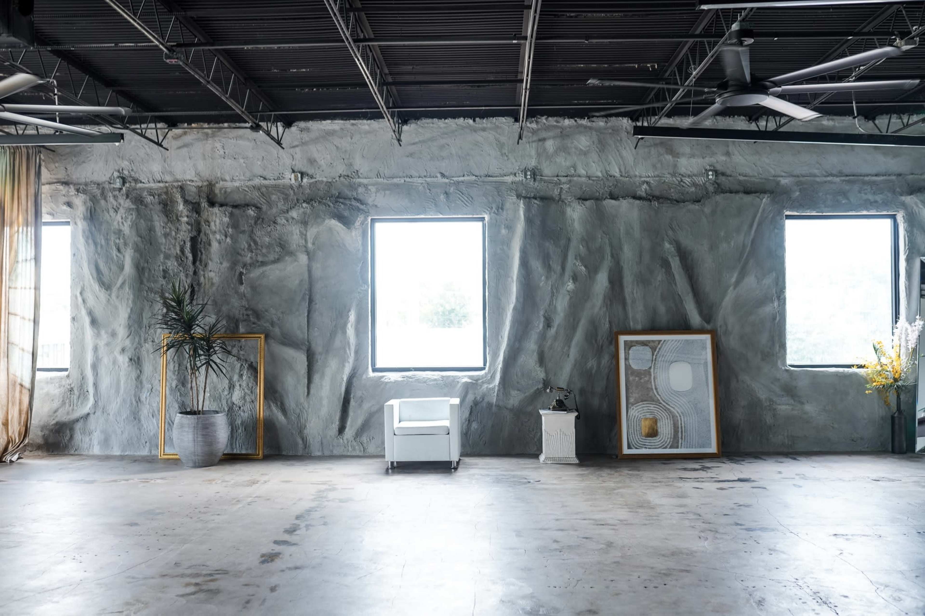 The image shows a spacious room with a textured concrete wall, two framed artworks, a small white chair, and a large potted plant.