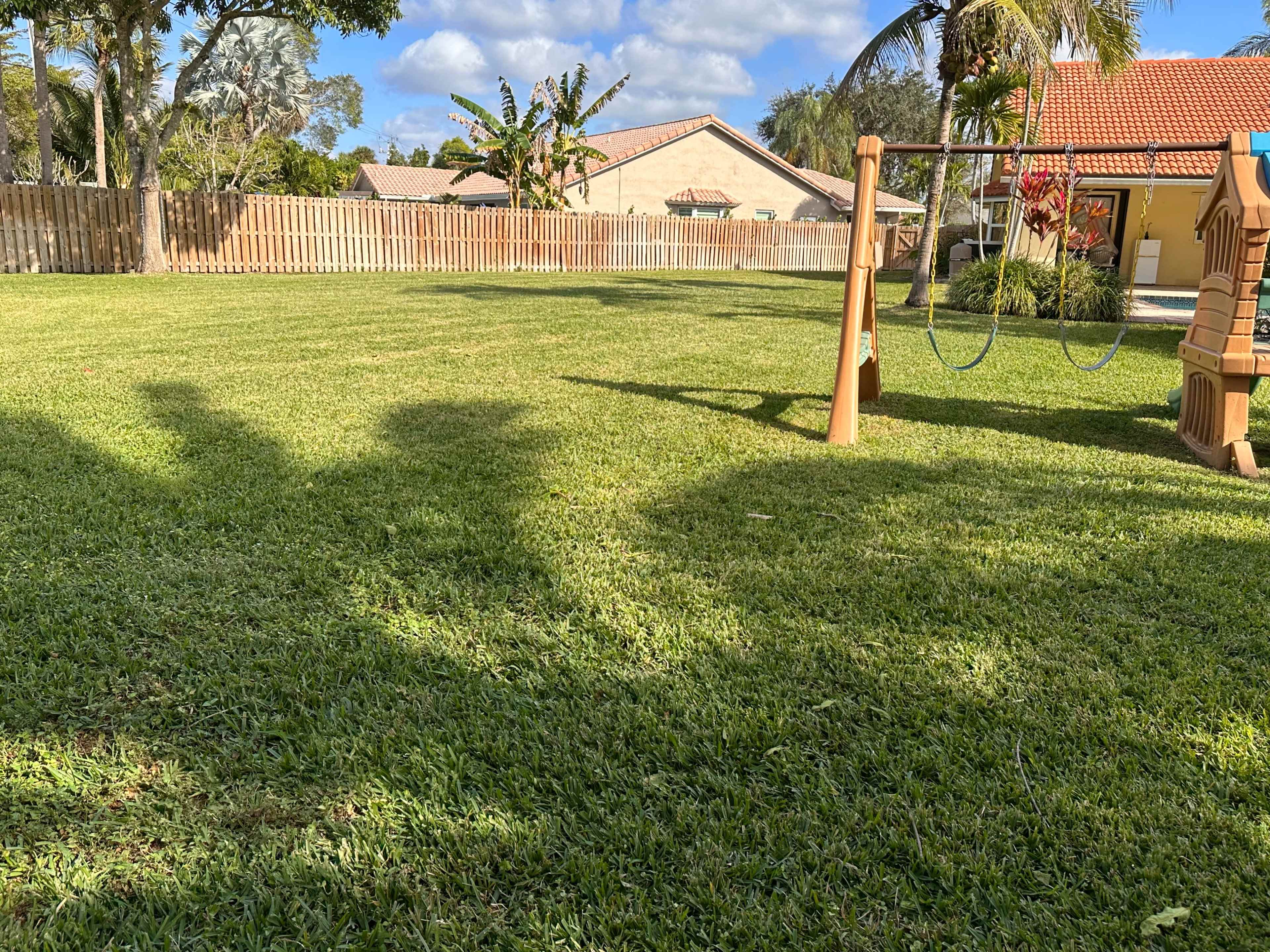 A grassy backyard features a playground set and a wooden fence, with trees and houses visible in the background.