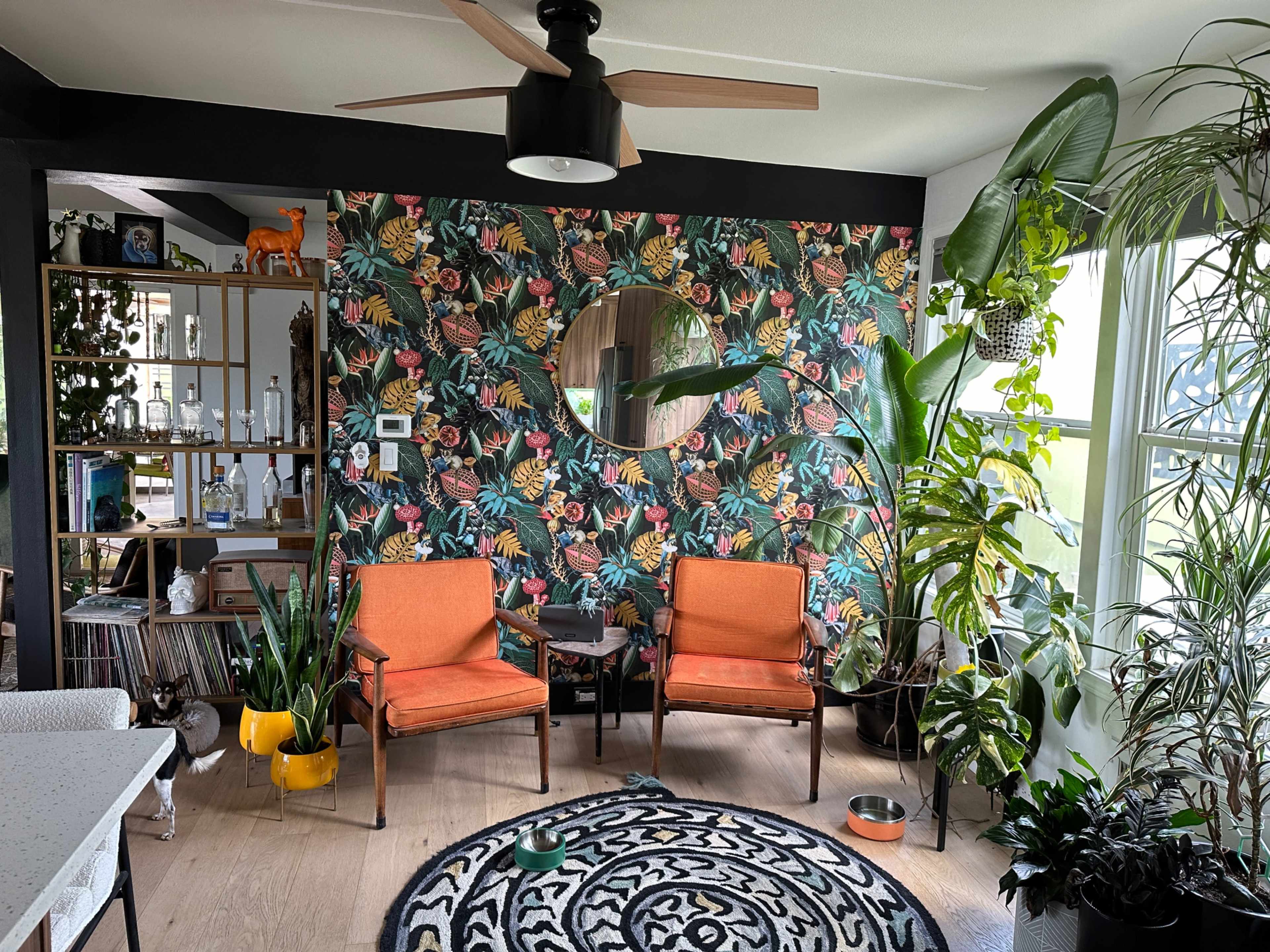 Mid-Century Modern Oasis with Koi Pond + Outdoor Kitchen Image in East Colfax, Denver, CO