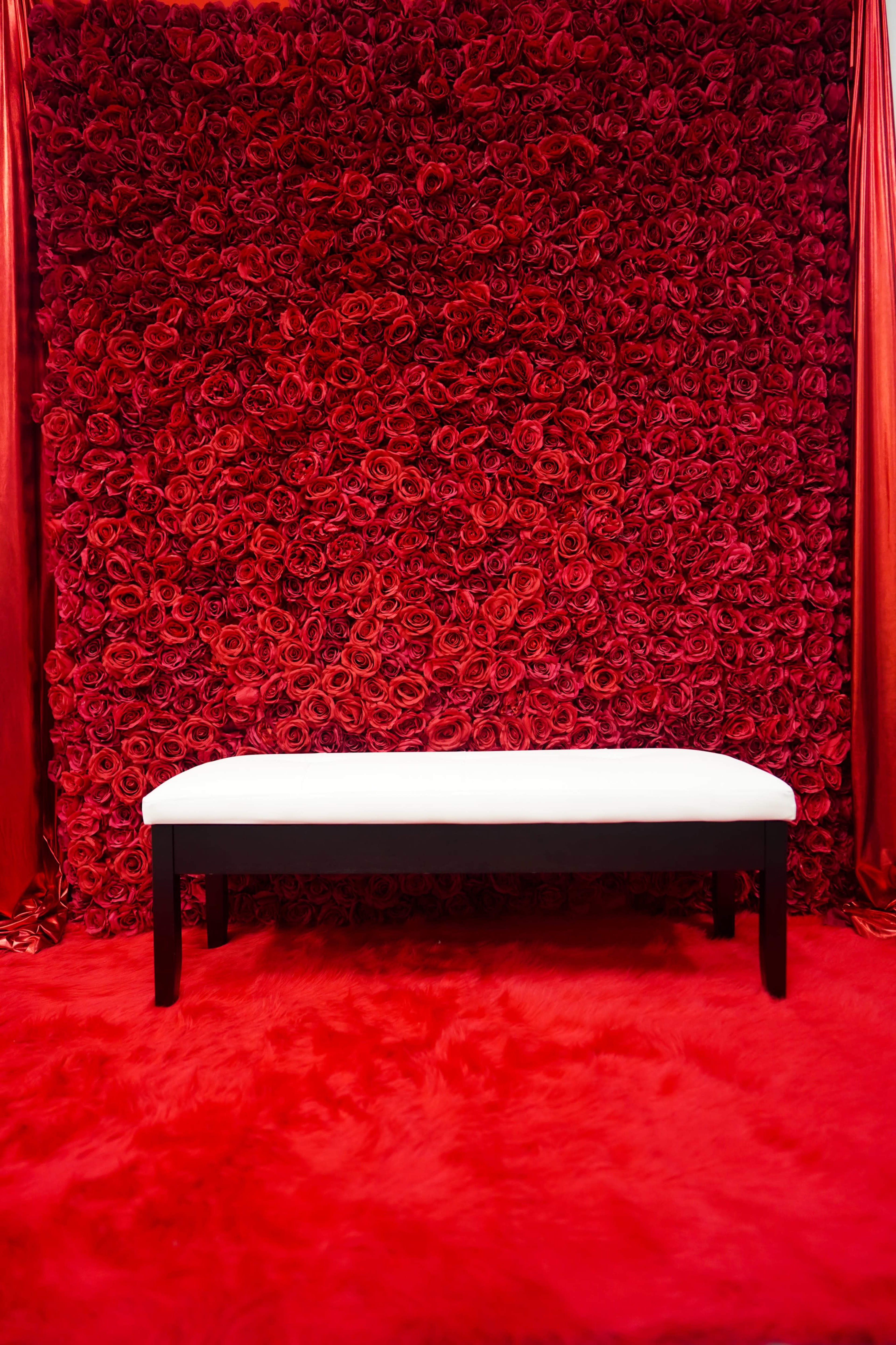 A white bench sits in front of a vibrant red wall made of artificial roses, complemented by a matching red carpet.