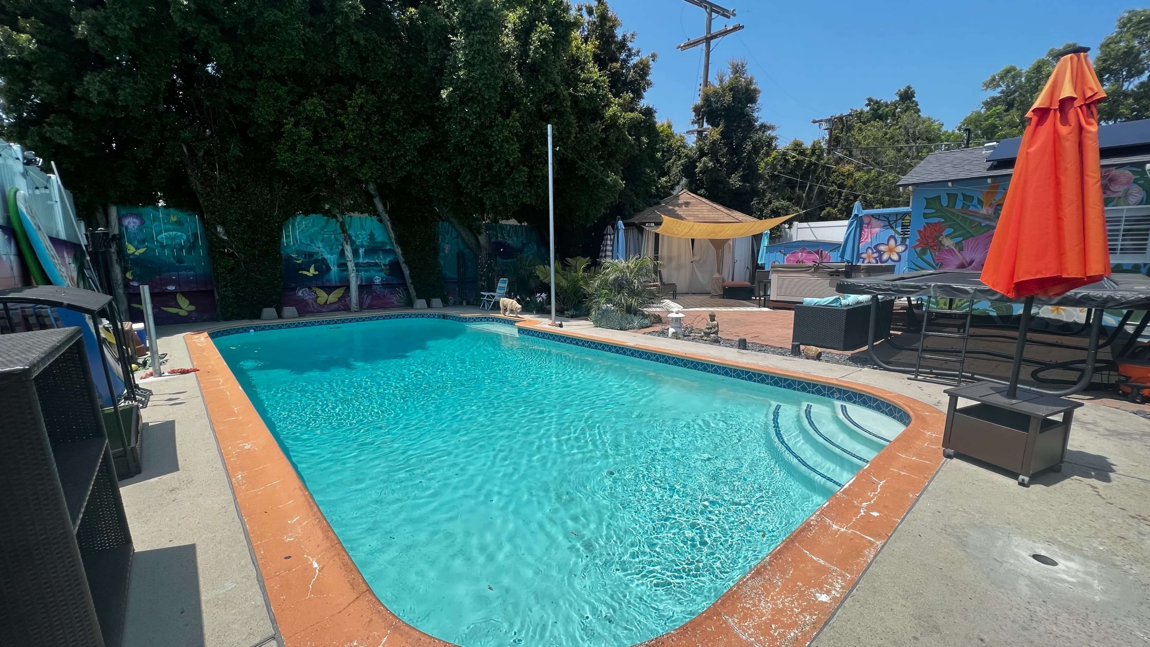 A residential backyard features a swimming pool surrounded by colorful murals and patio furniture.