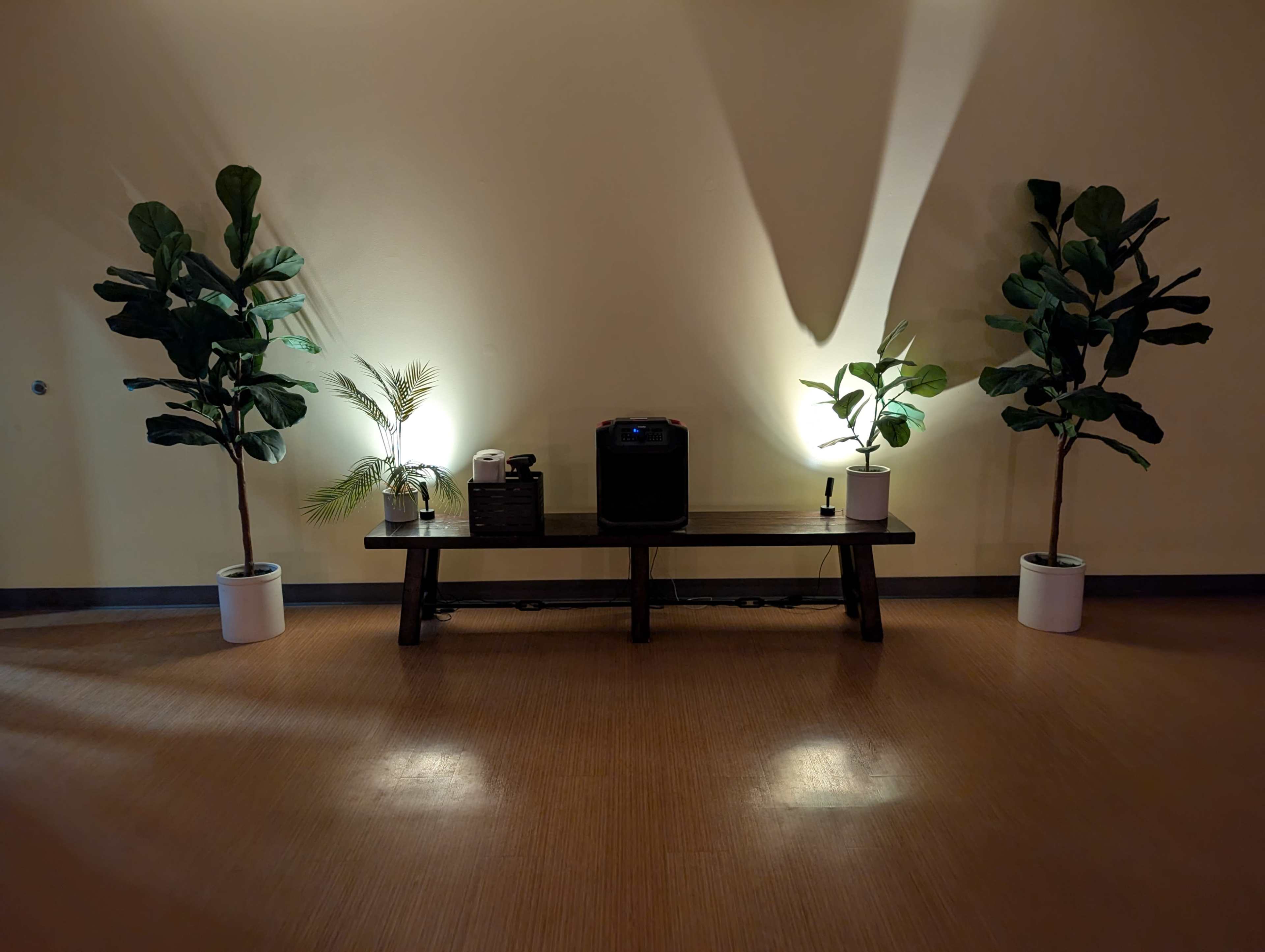 The image features a wooden bench with a speaker on top, flanked by two potted plants that are illuminated from behind.