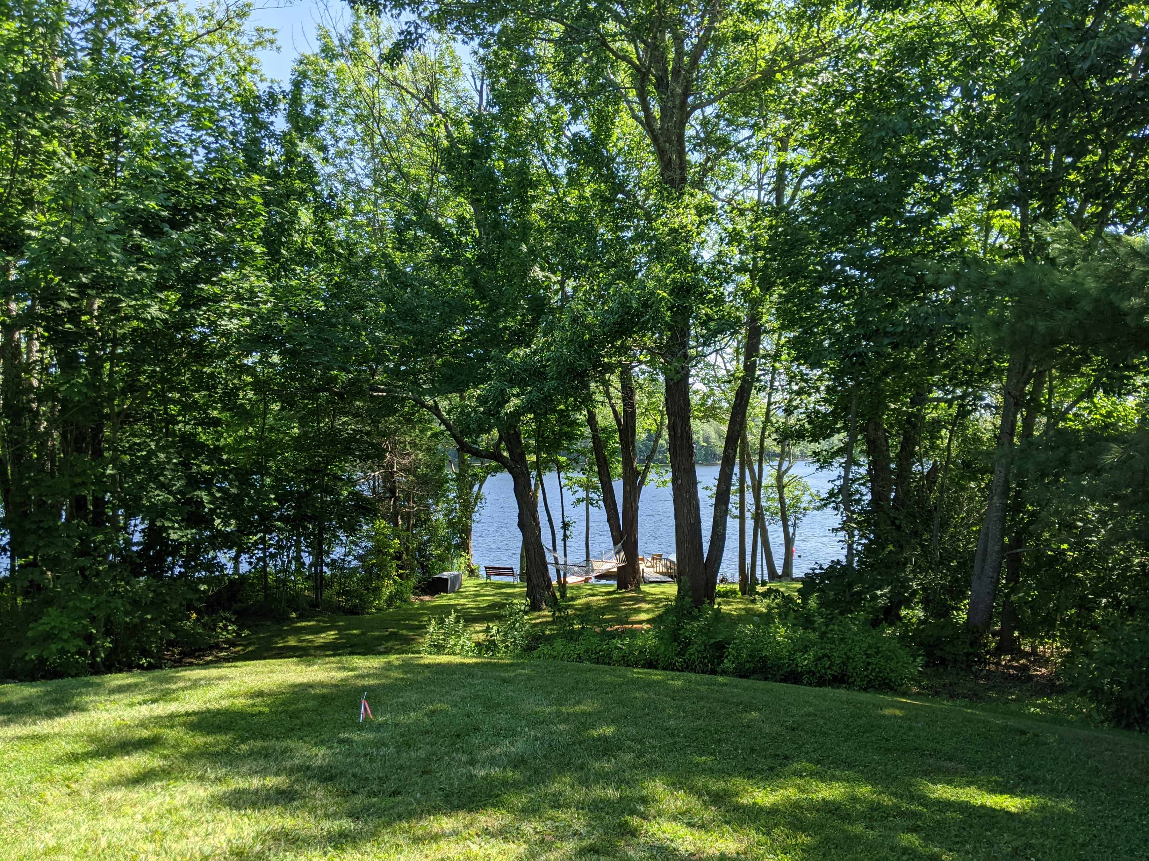 A view of a serene lakeside surrounded by trees and lush green grass on a sunny day.