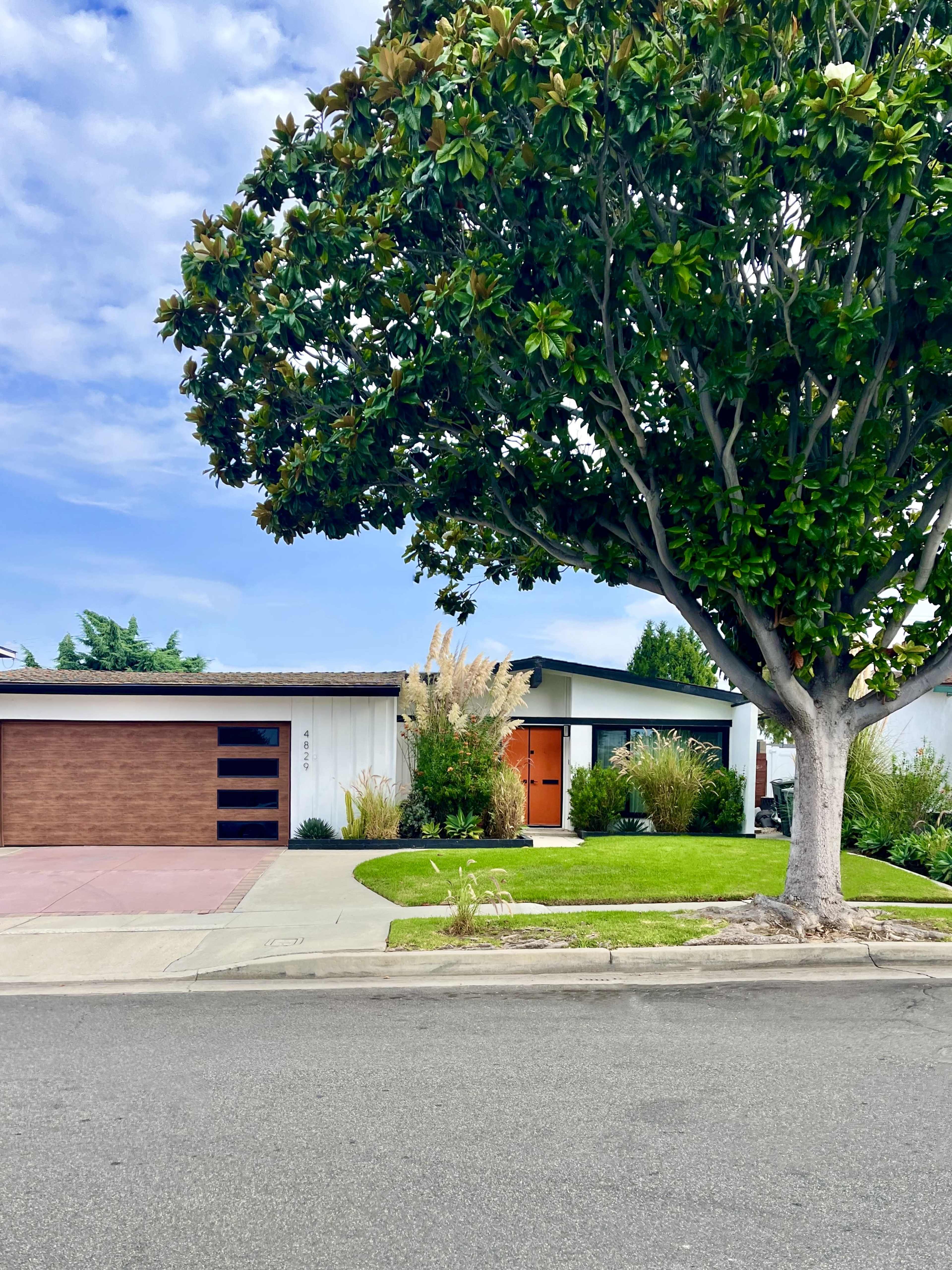 A modern one-story house with a wooden front door, surrounded by greenery, sits on a quiet street beneath a large tree.