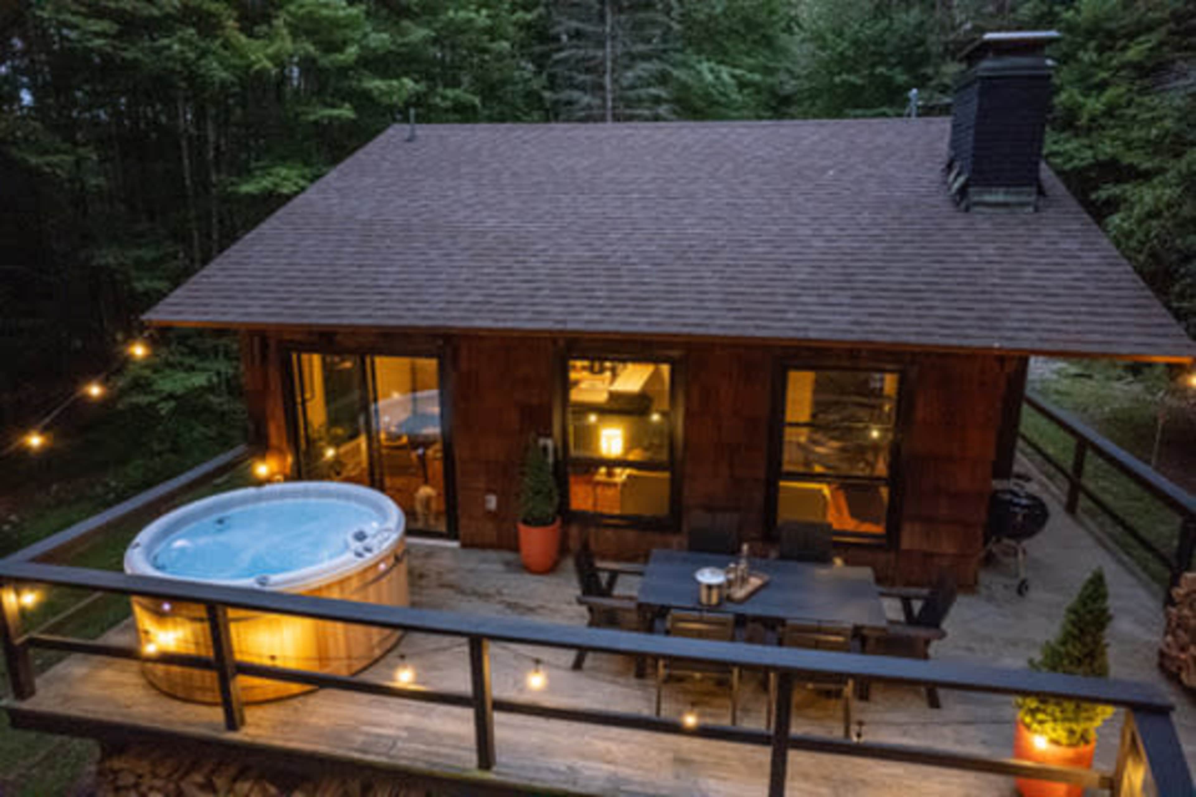 Mountain Chalet and Cottage (2 locations 6 minutes apart) Image in Roxbury, Denver, NY