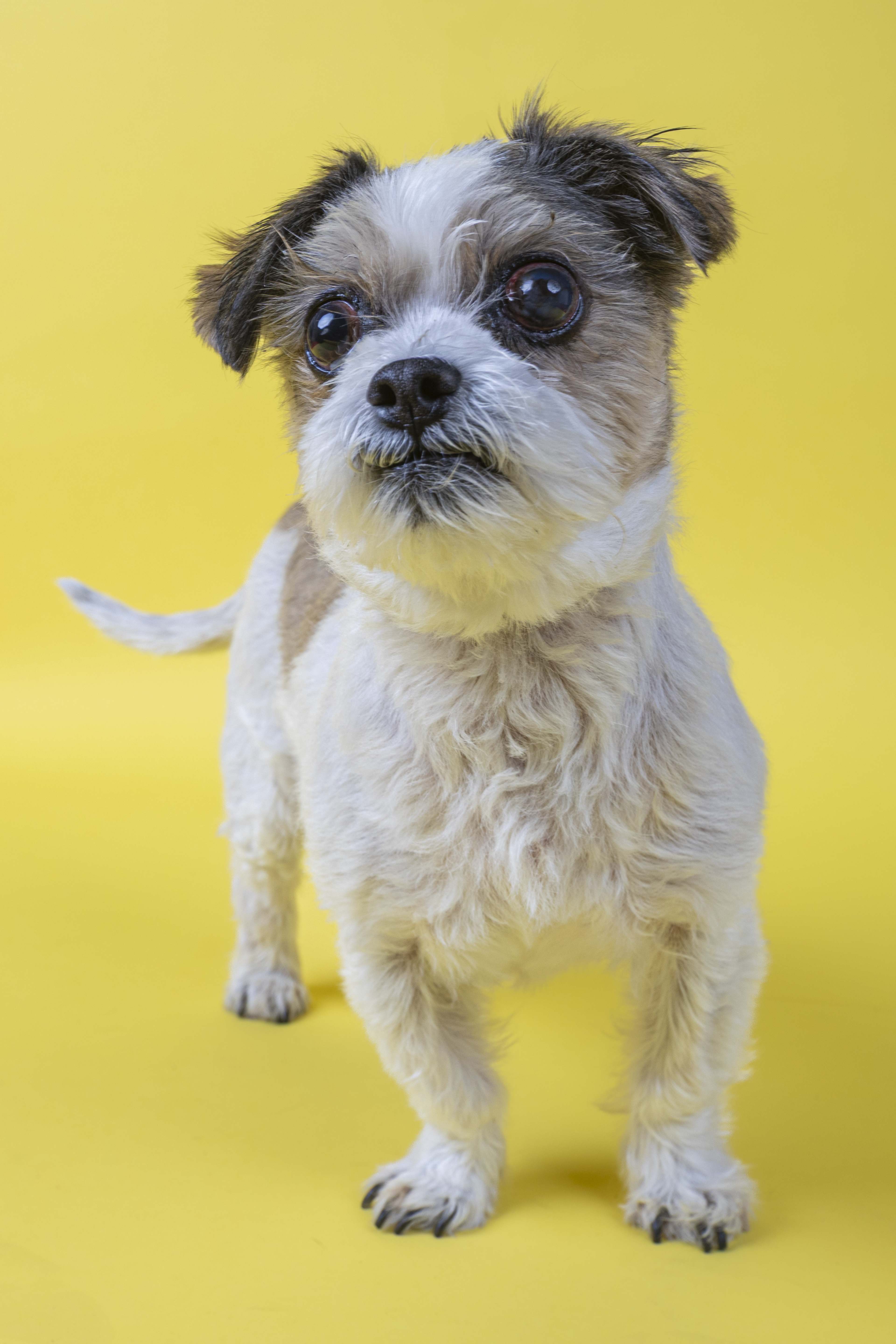 Photoshoot