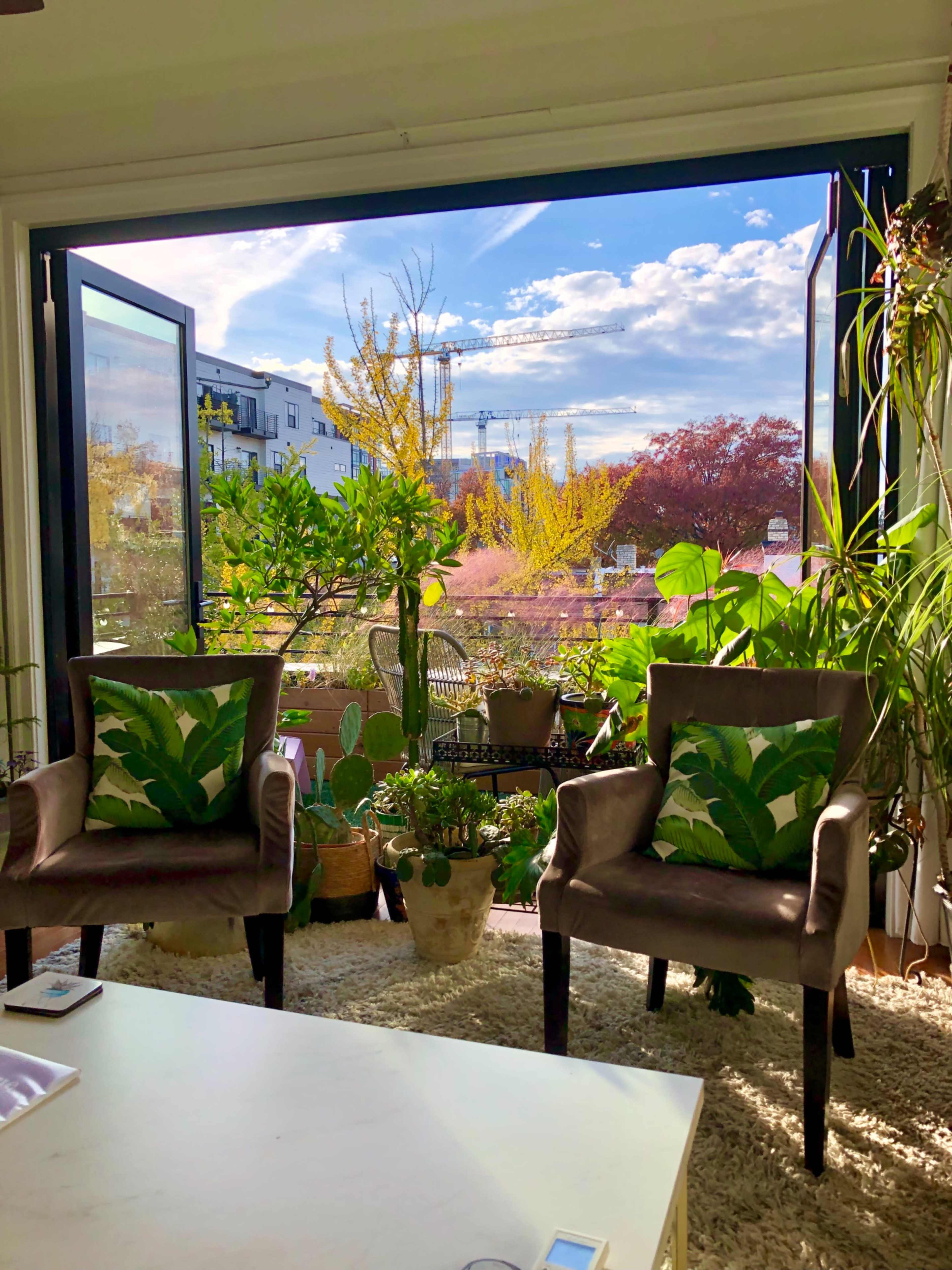 A sunlit living room with two chairs facing a large open window, revealing a view of potted plants and trees outside.