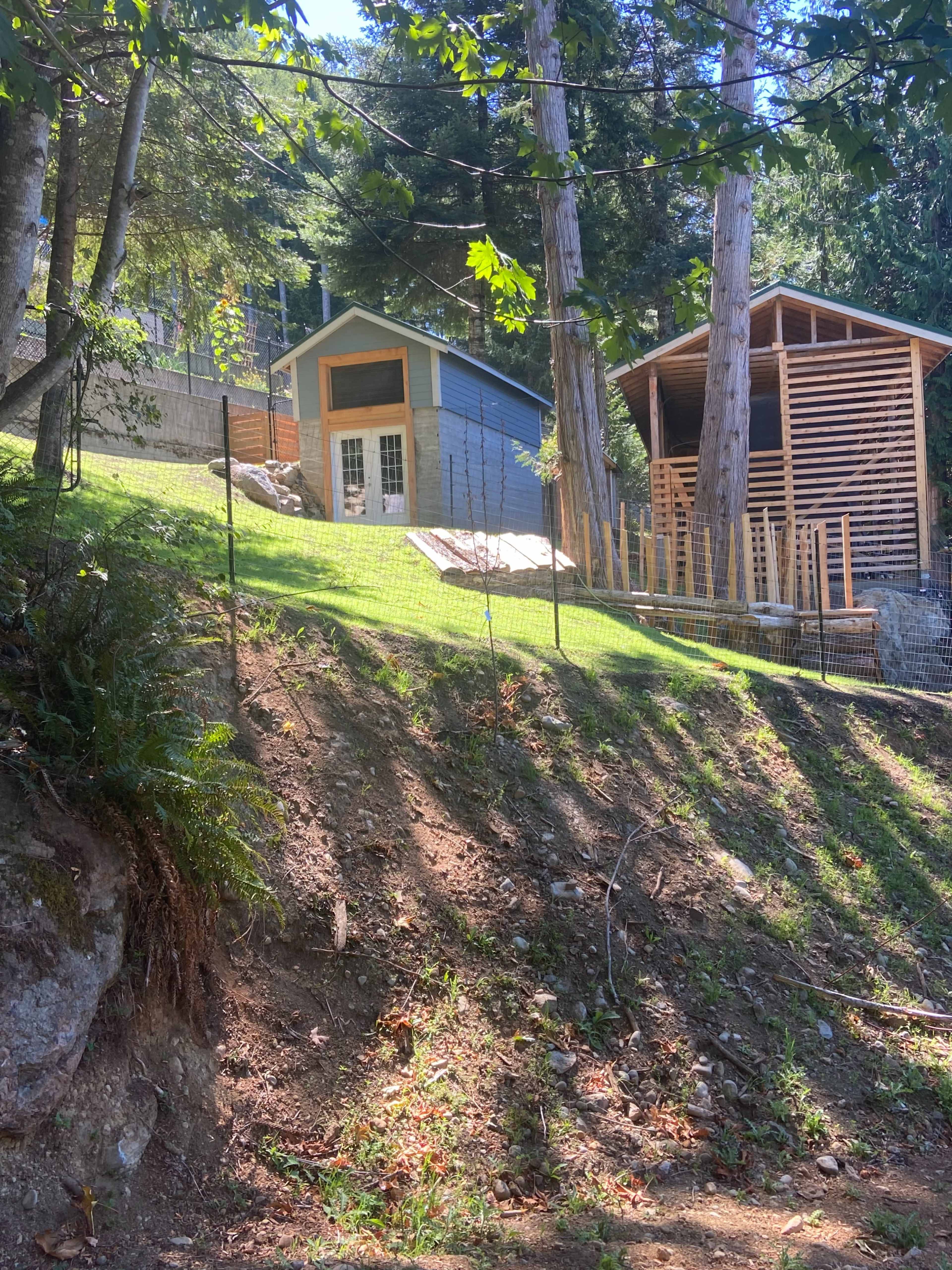 A grassy hillside with a blue shed and a wooden structure surrounded by trees.