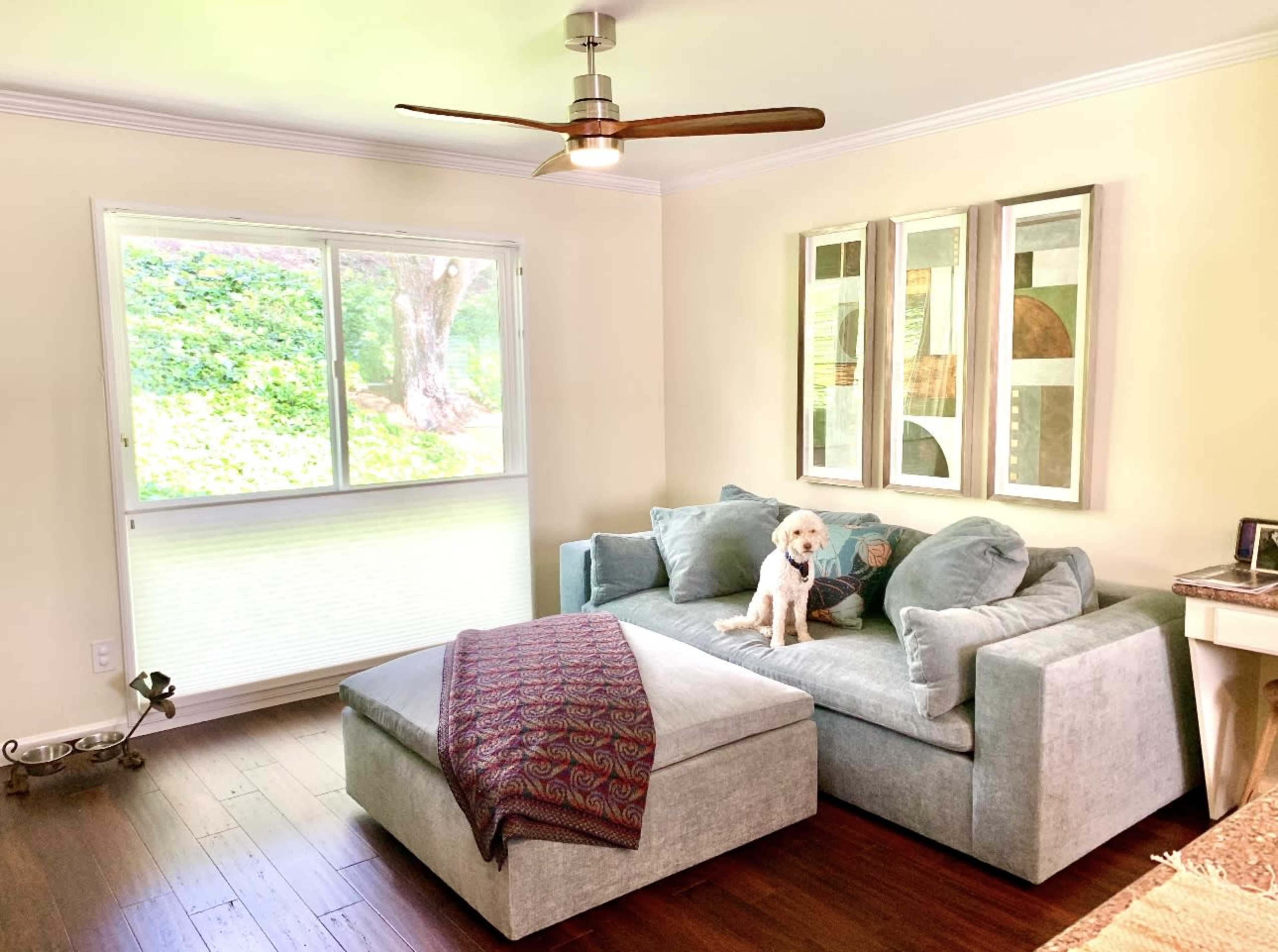 A light-filled living room features a corner sofa with a matching ottoman, a decorative throw, and a small dog sitting on the sofa.