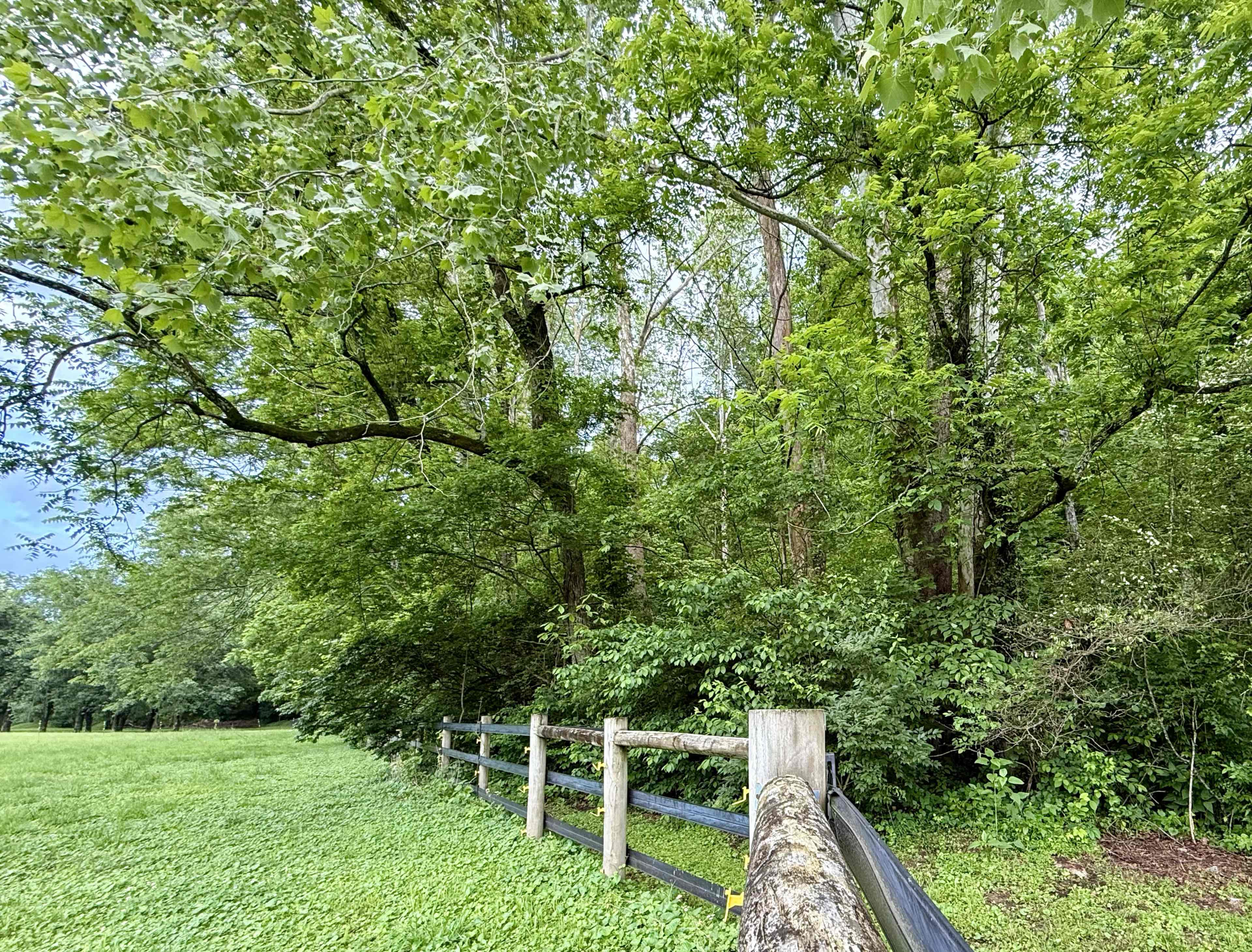 Secluded Resort-like Farm Land Image in Bellevue, Pegram, TN