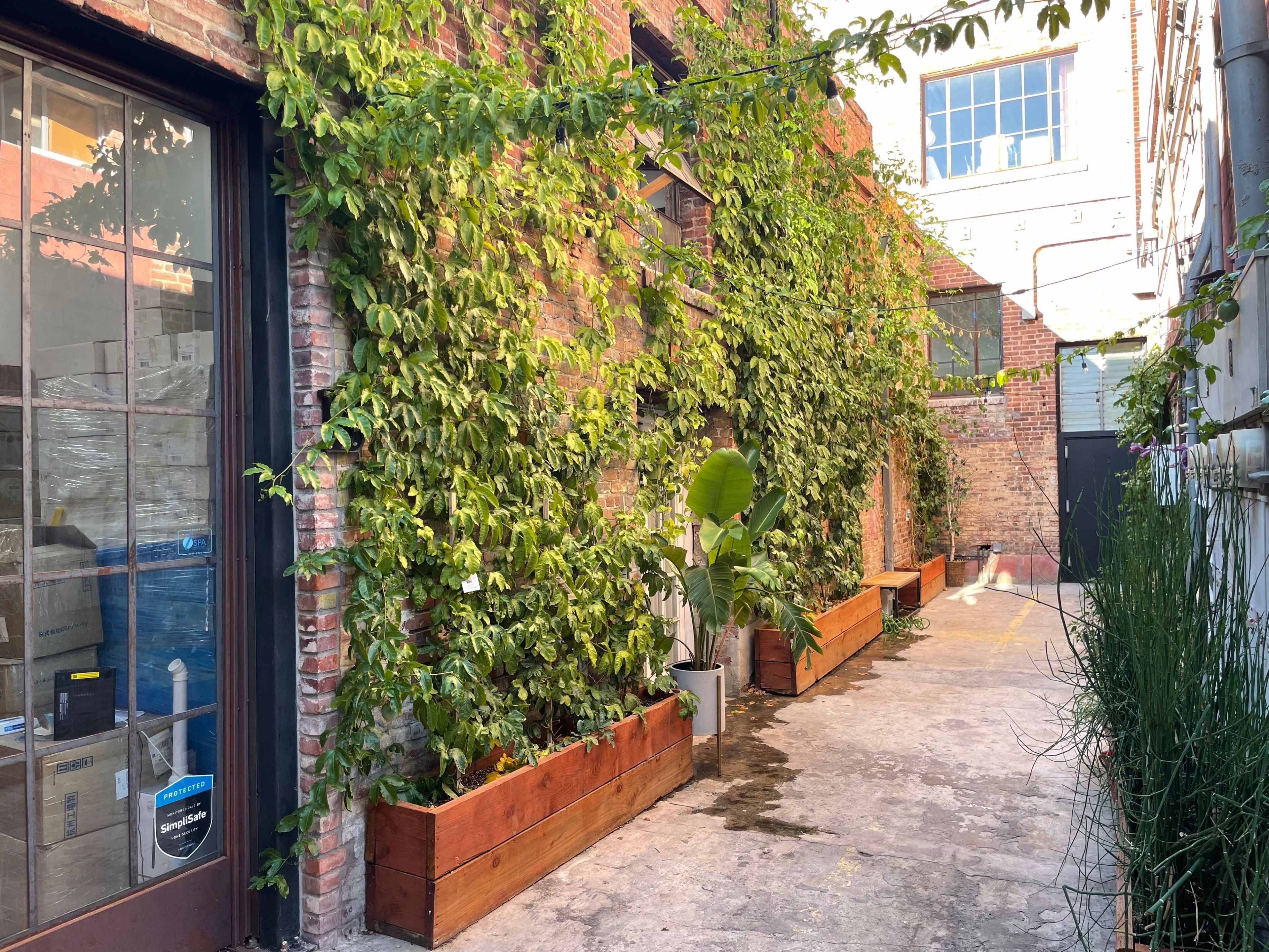 A narrow alley lined with planters filled with greenery and brick walls, leading to a doorway on one side.