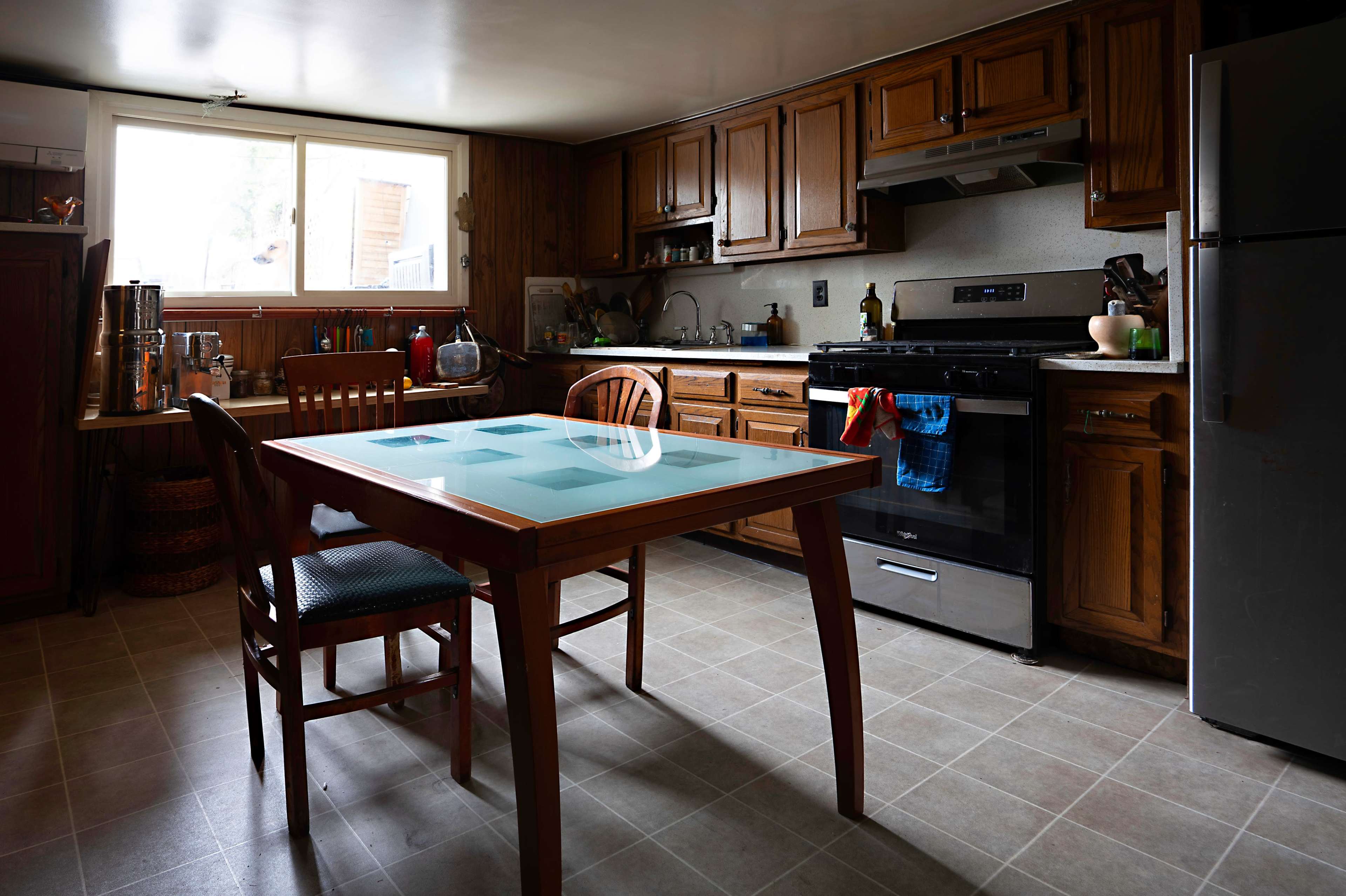 The Shapira's Retro 1991 Image in Williamsburg, Brooklyn, NY