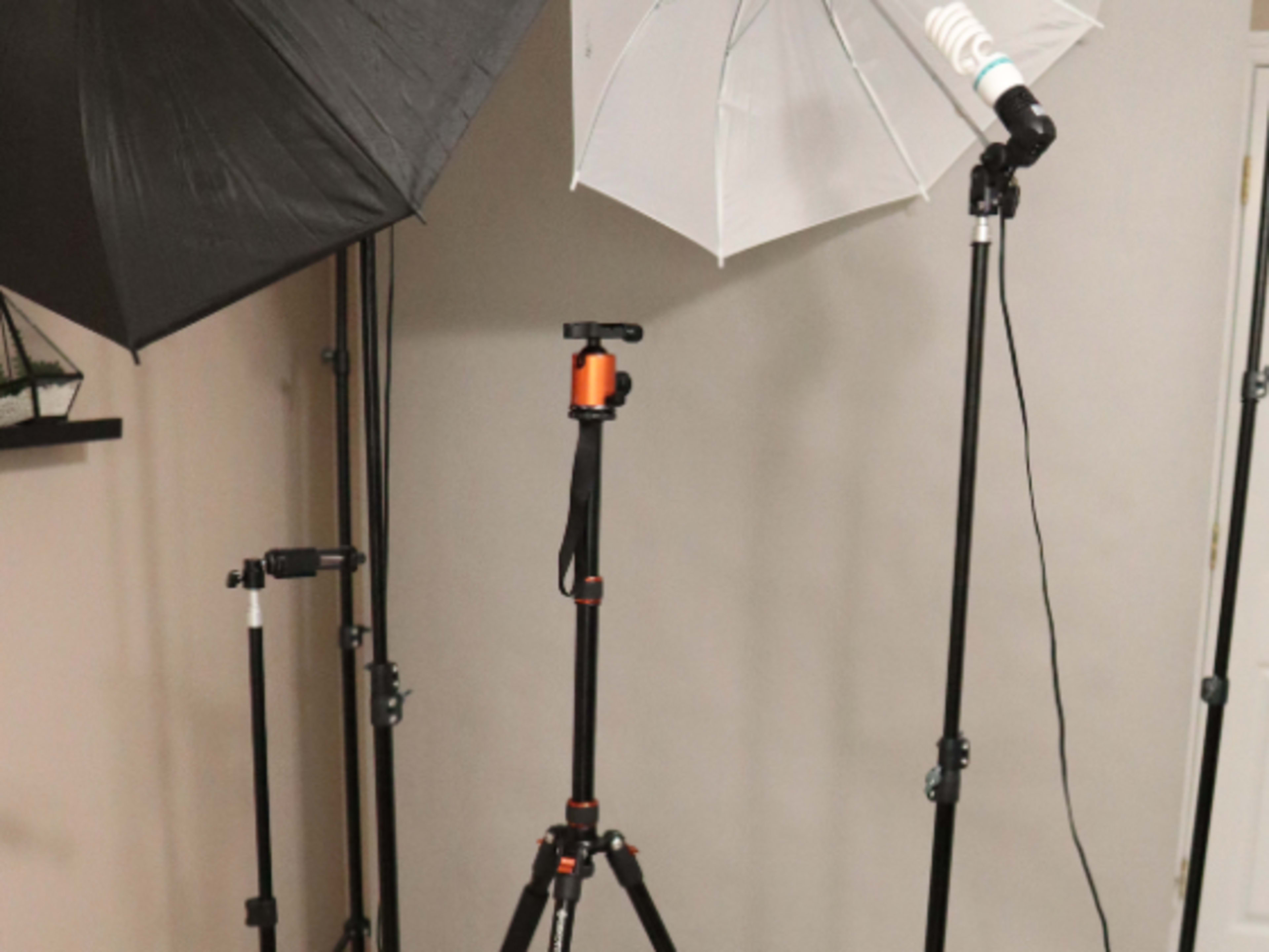 Backdrop, lighting, and Tripod