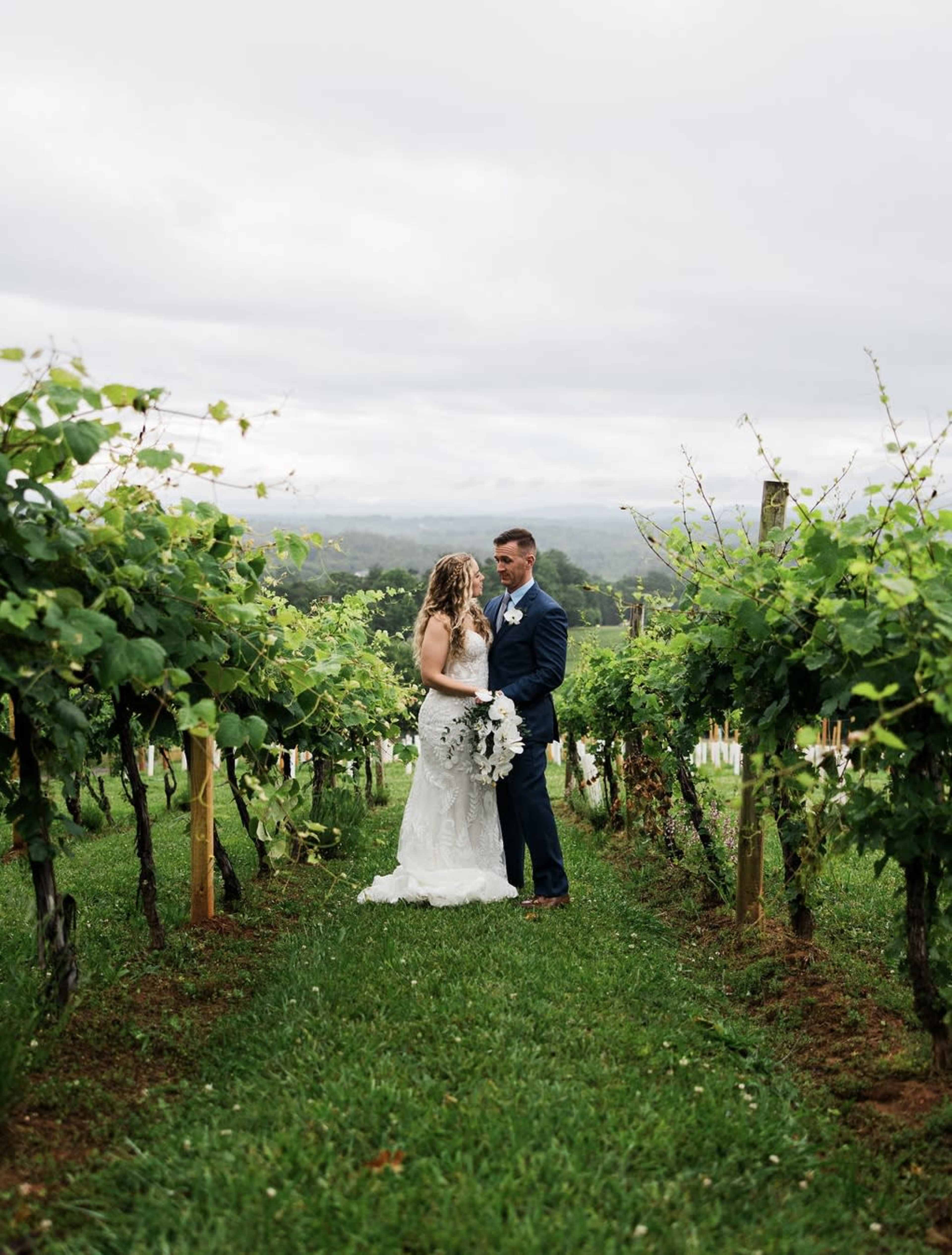 A couple in formal wedding attire stands together among the rows of grapevines in a vineyard.