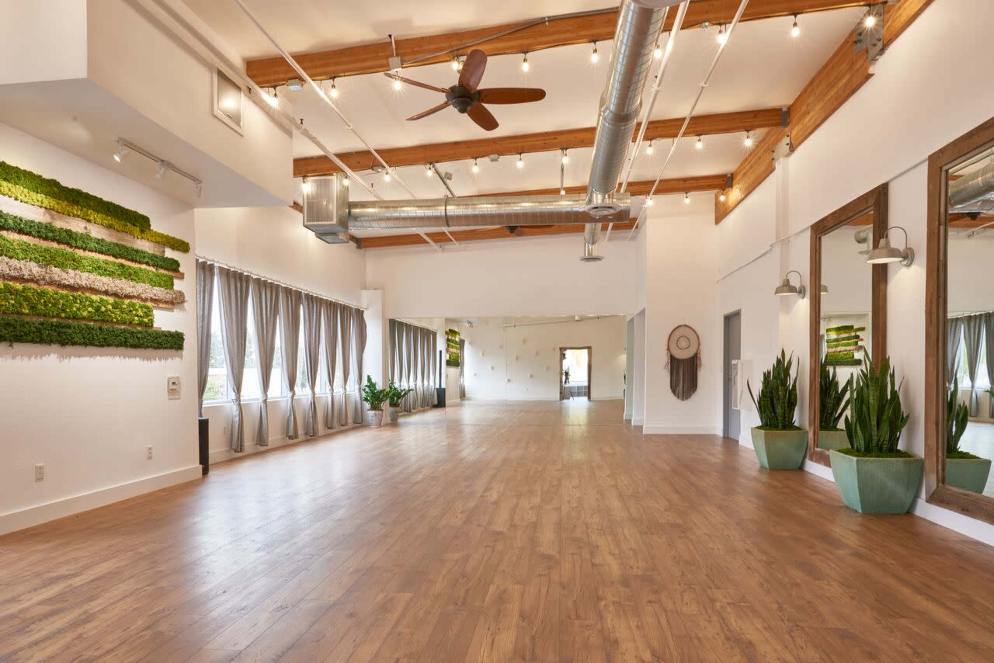 A spacious, well-lit studio with wooden beams, large windows, and greenery accent walls.