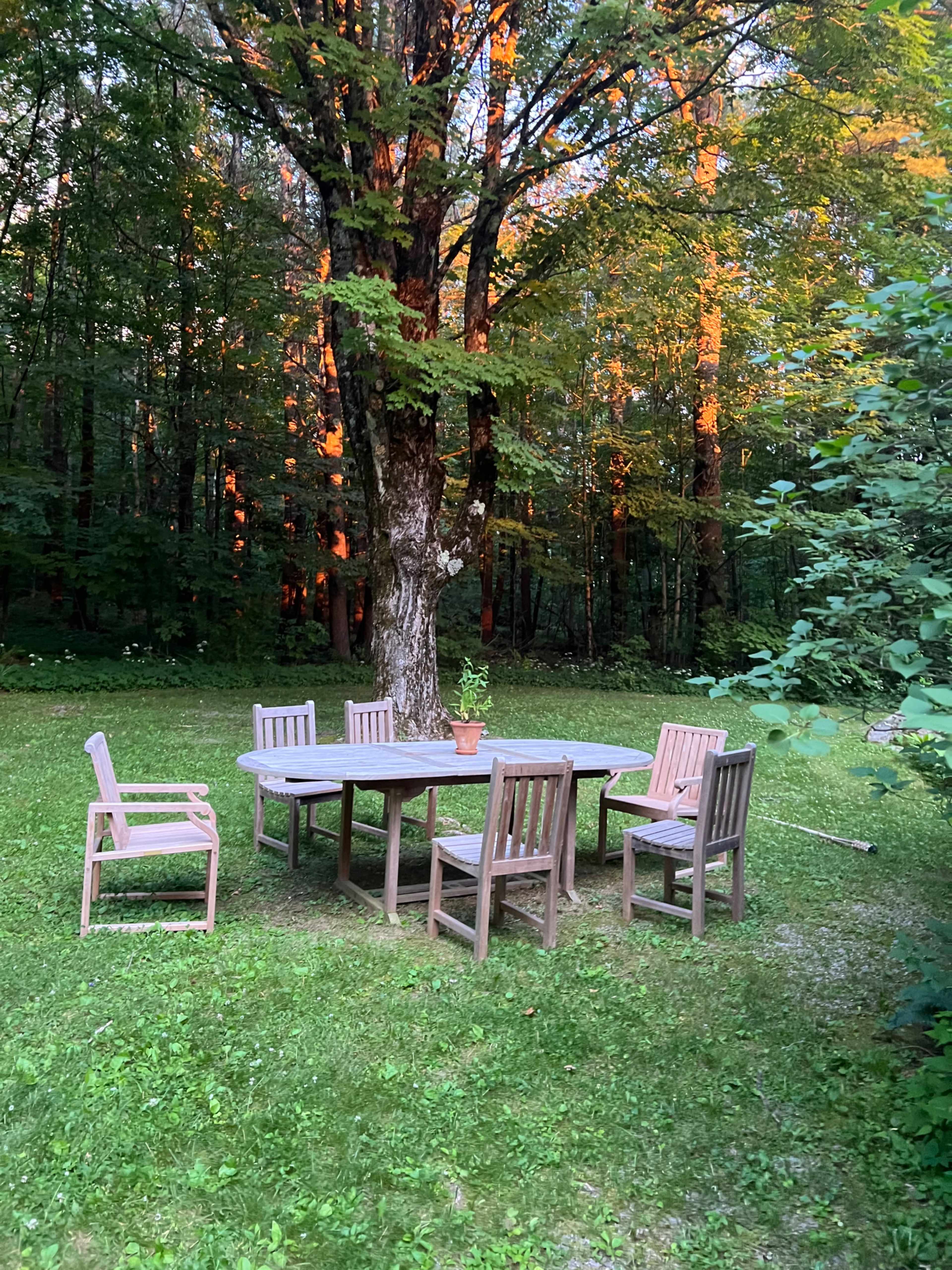 A wooden table surrounded by six chairs sits on green grass under a large tree in a wooded area.