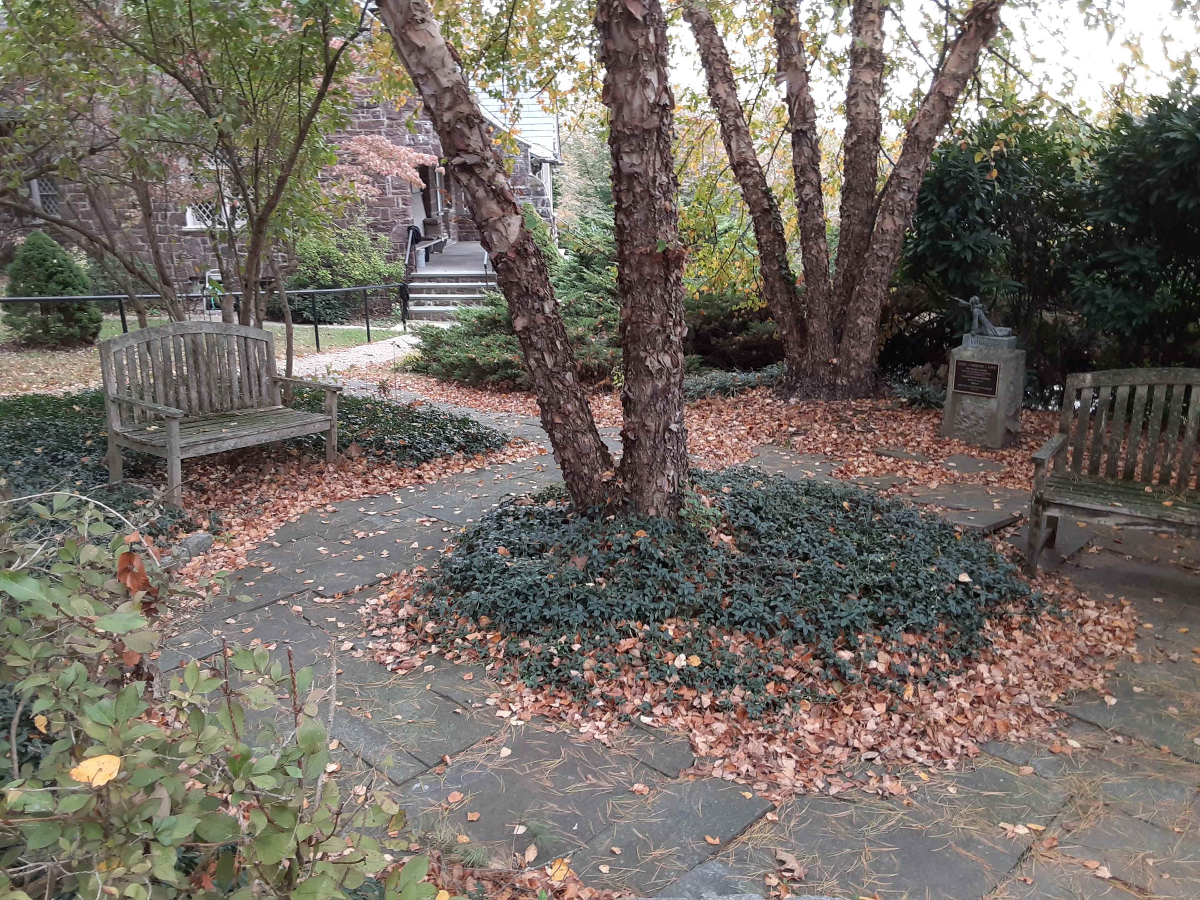 The scene features a small garden with two wooden benches surrounded by fallen leaves and a circular patch of greenery around a tree.