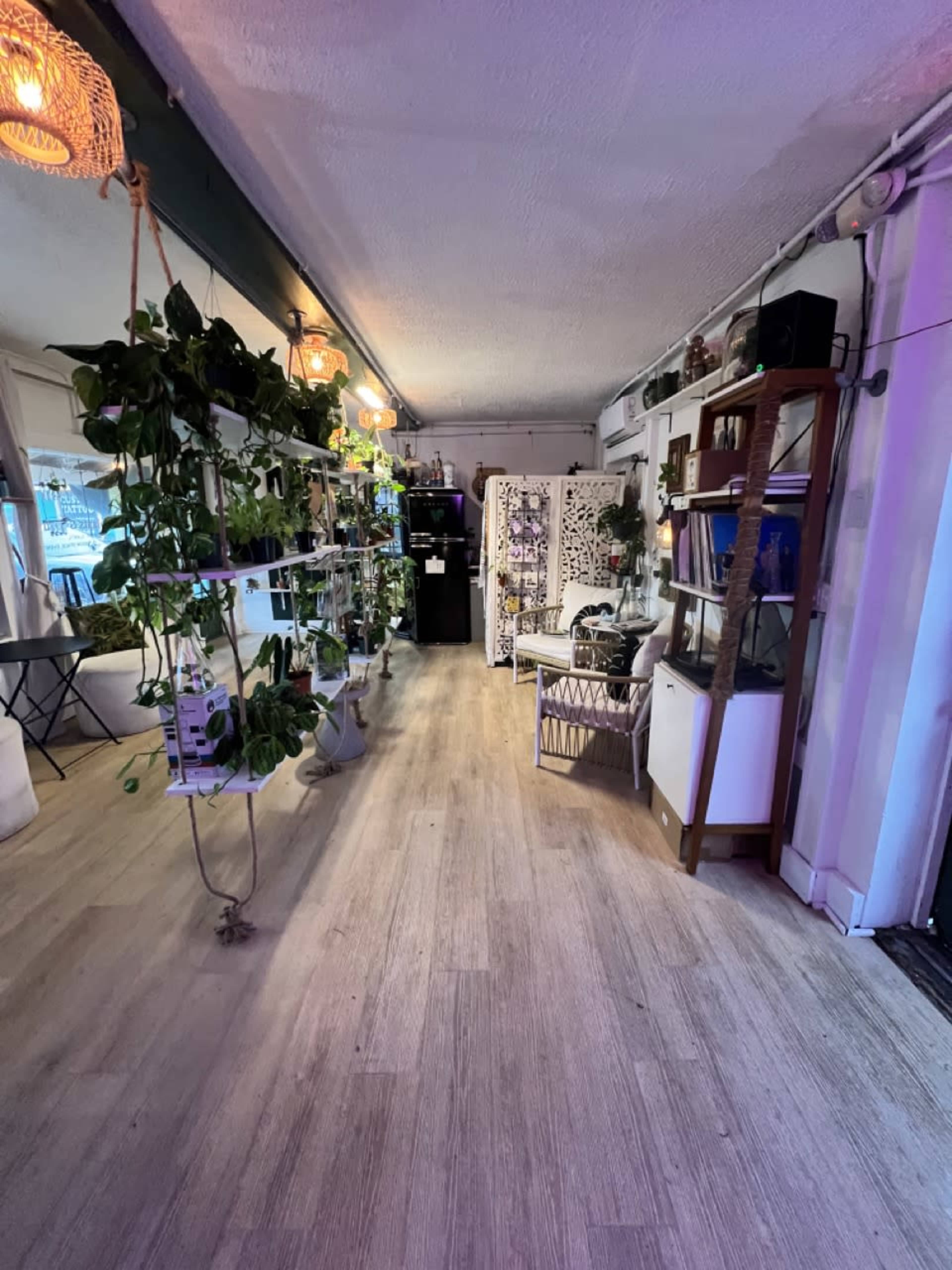 Beachfront Plant Shop & Outdoor Space Image in Flagler Beach, Flagler Beach, FL