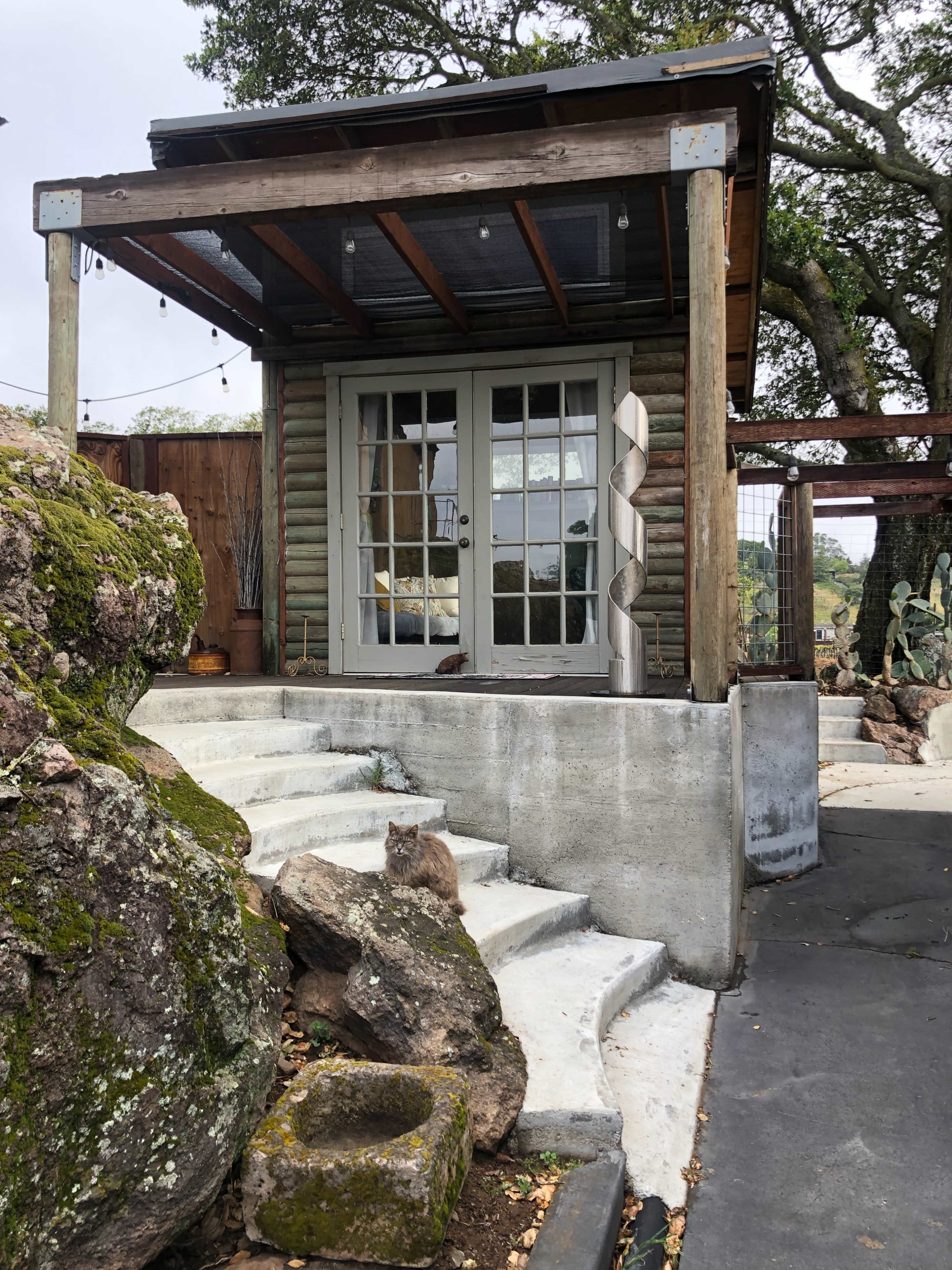 A small wooden outbuilding with glass doors is situated near a stone pathway and surrounded by rocks and greenery.
