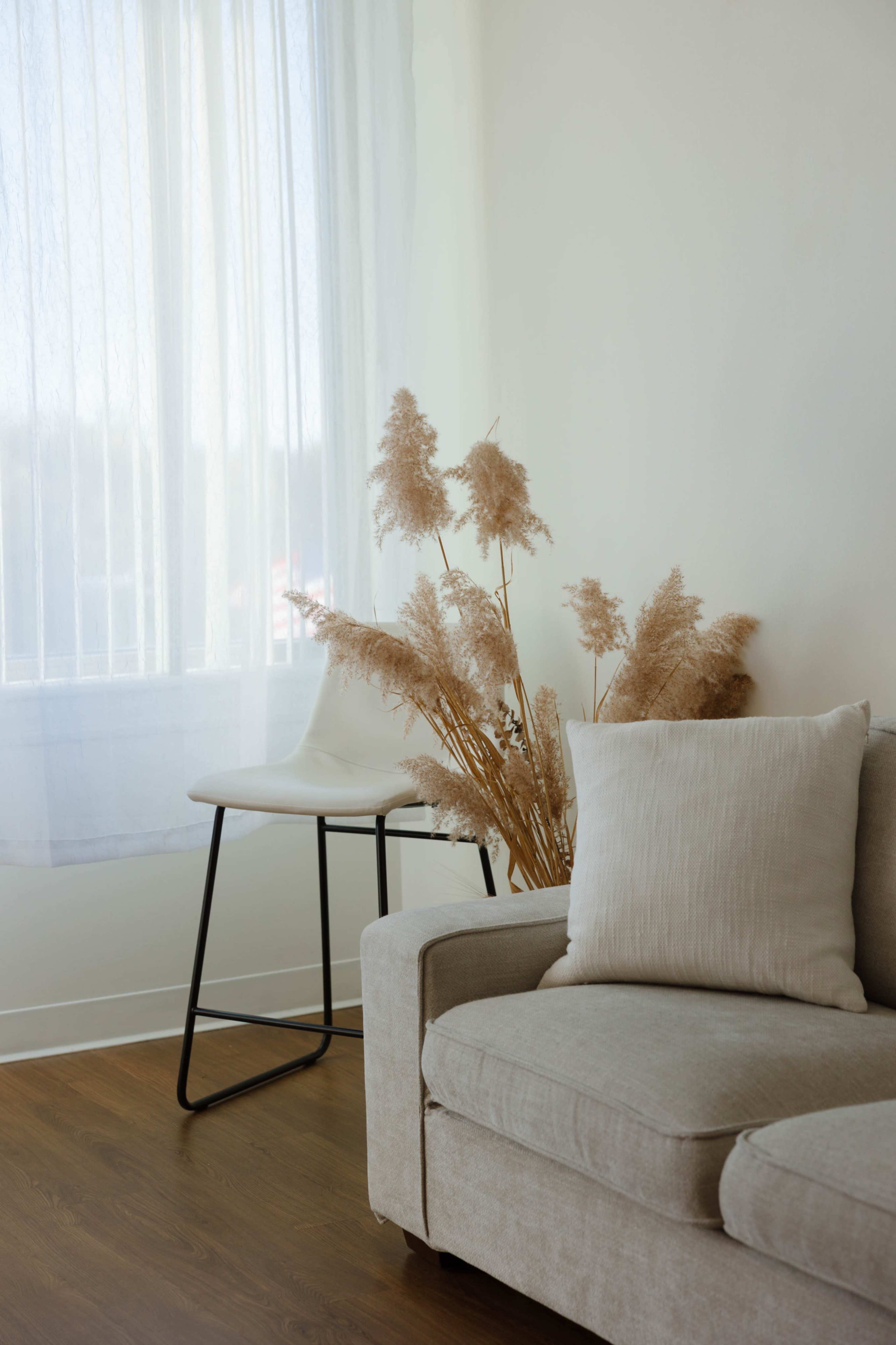 A light-filled room features a beige sofa, a white chair, and decorative dried plants in a corner.
