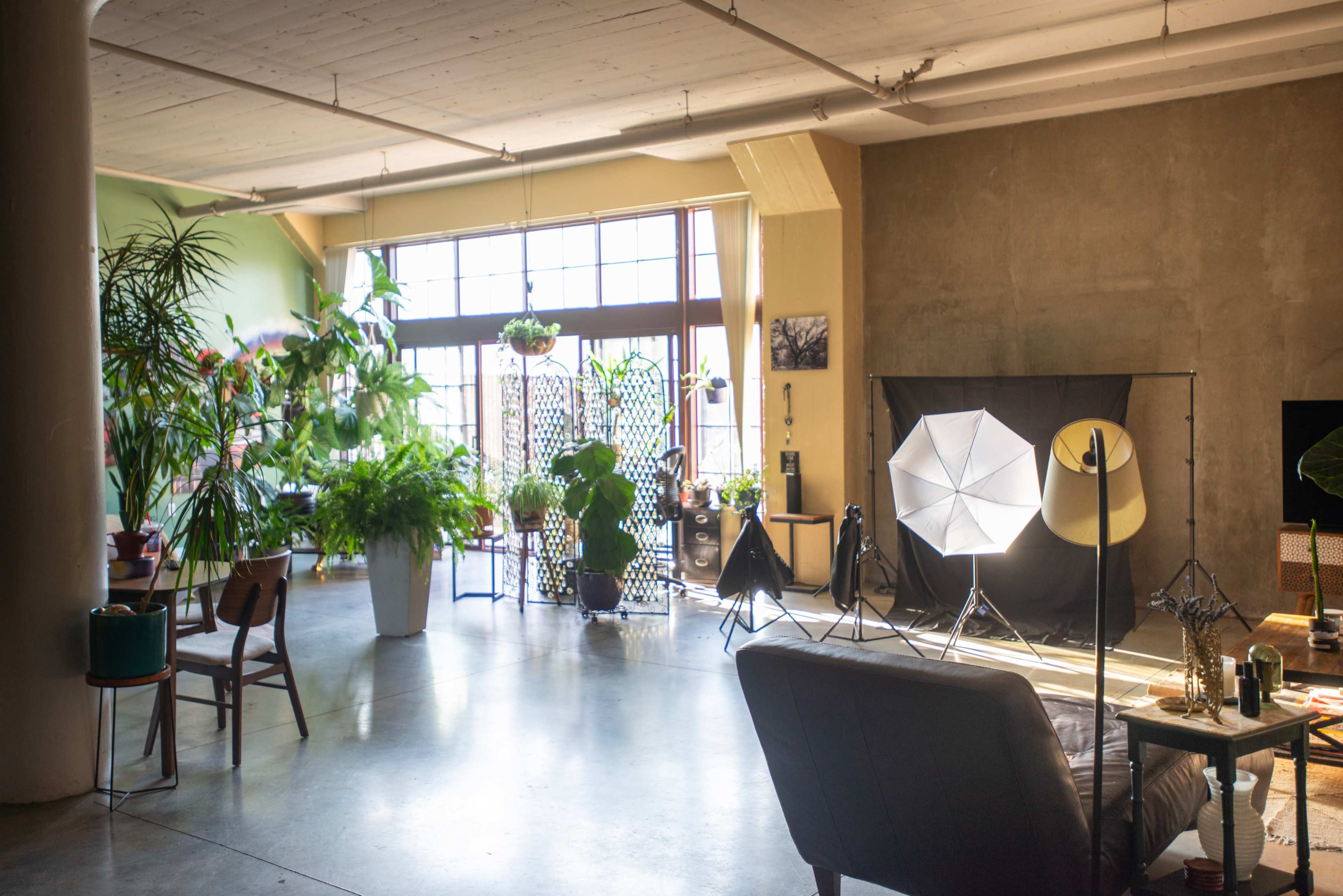 Green art living loft Image in East 14th Street Business District, Oakland, CA