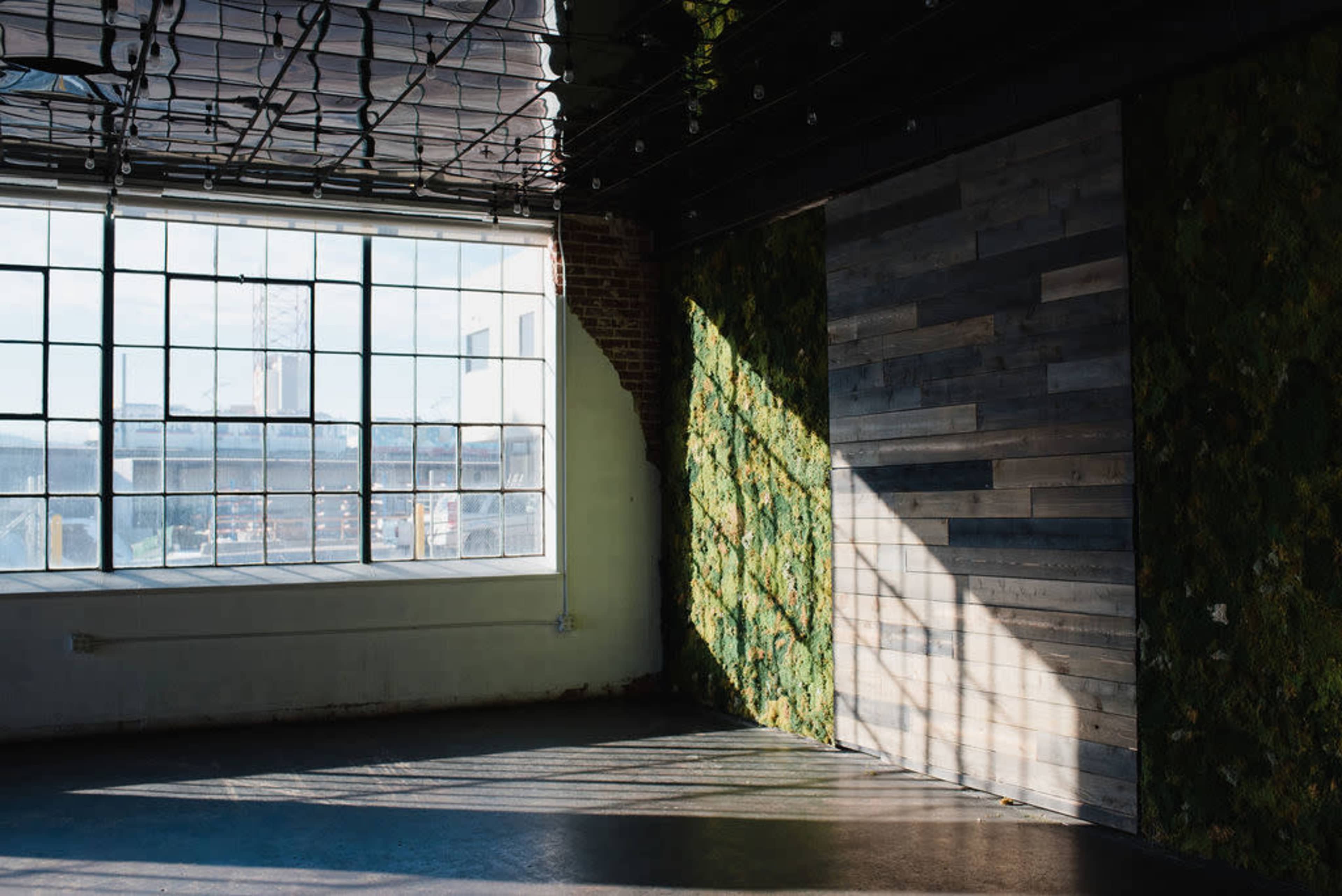 A spacious, industrial room features large windows, a moss-covered wall, and a wooden accent wall, all illuminated by natural light.