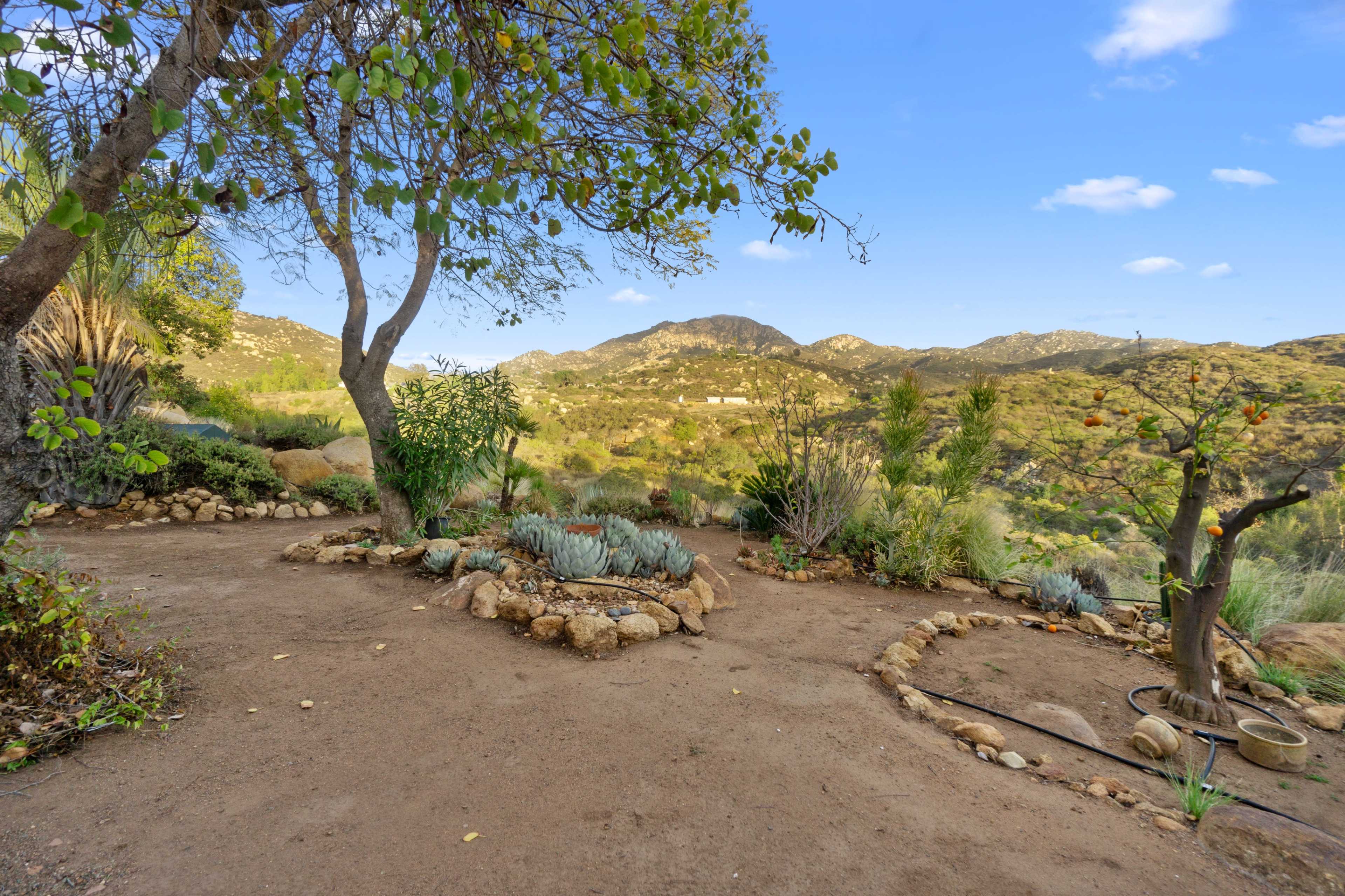 A rocky pathway winds through a landscaped garden with various plants, leading to rolling hills in the background.
