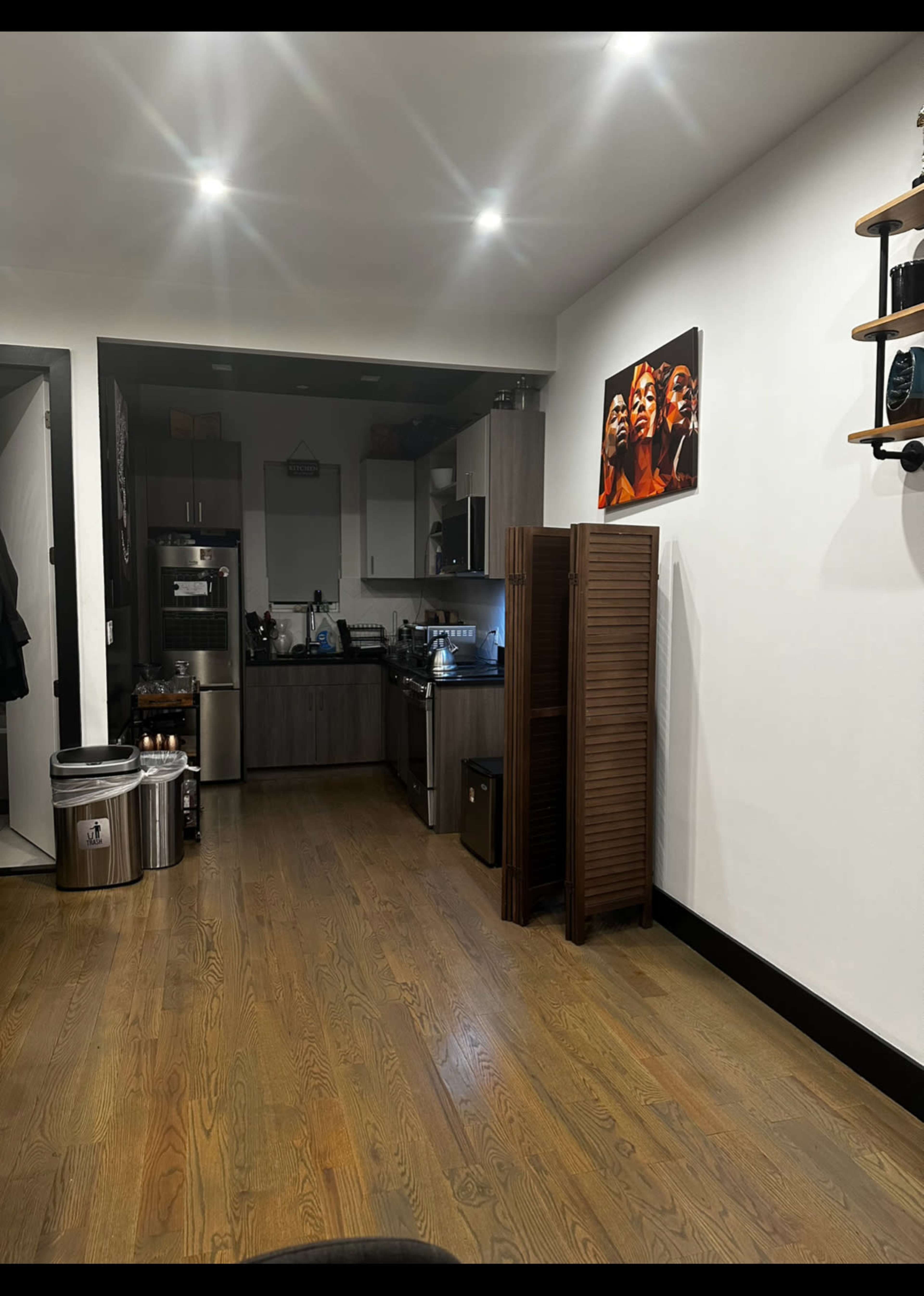 Modern Brooklyn Apartment with  balcony with a La vibe Image in Little Haiti, Brooklyn, NY