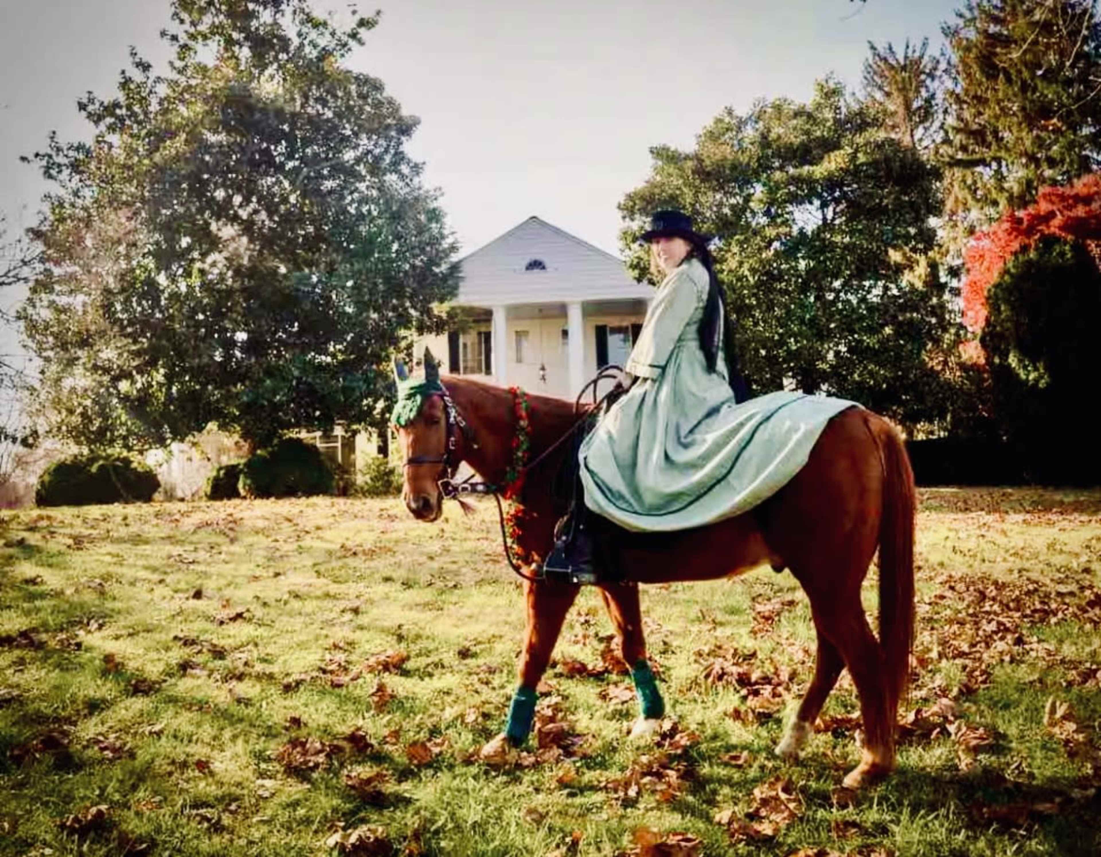 Historic Mansion & Horse Farm 30 min to DC Image in , Owings, MD