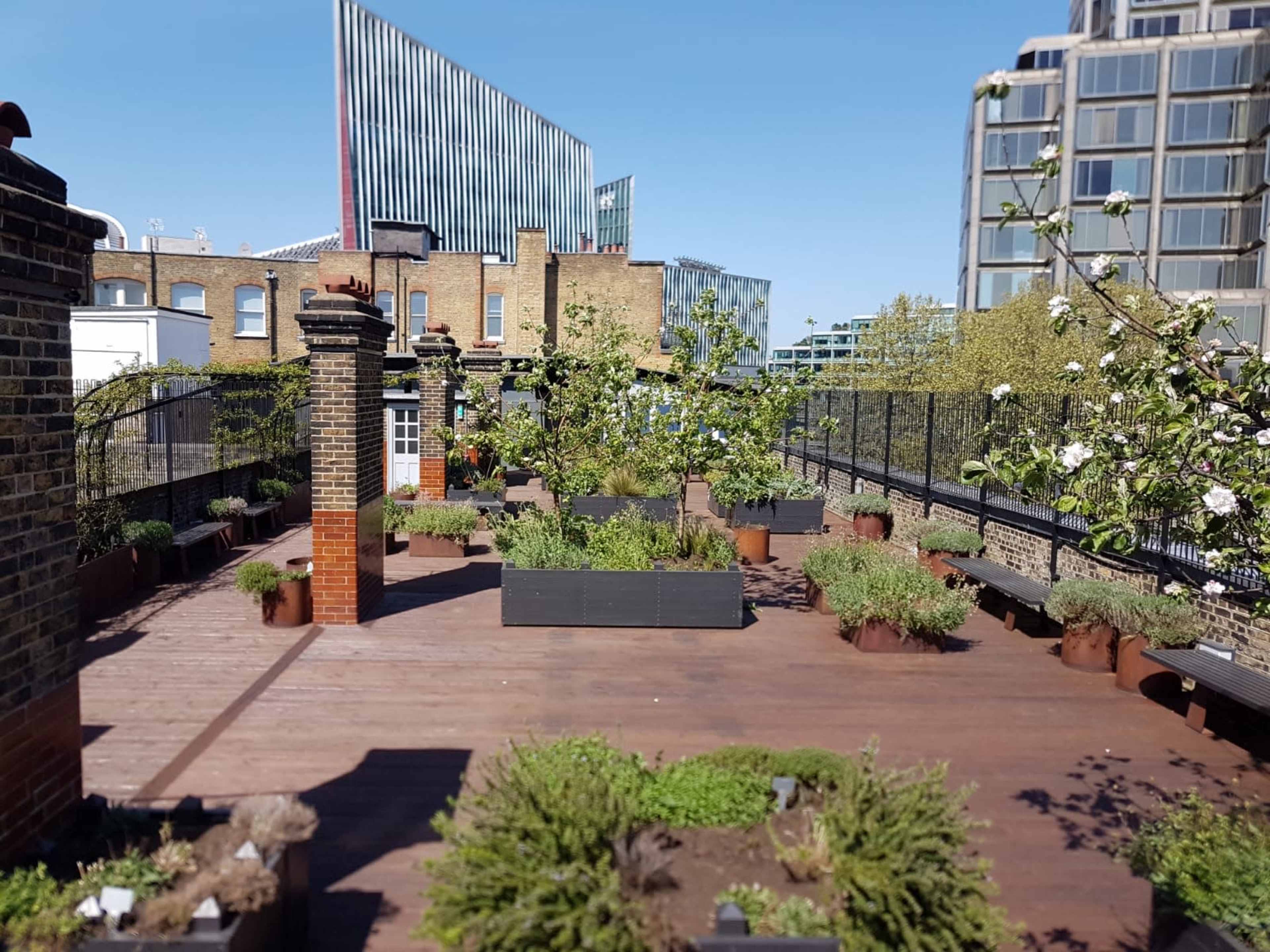 A rooftop garden with wooden decking, planters filled with greenery, and a city skyline in the background.