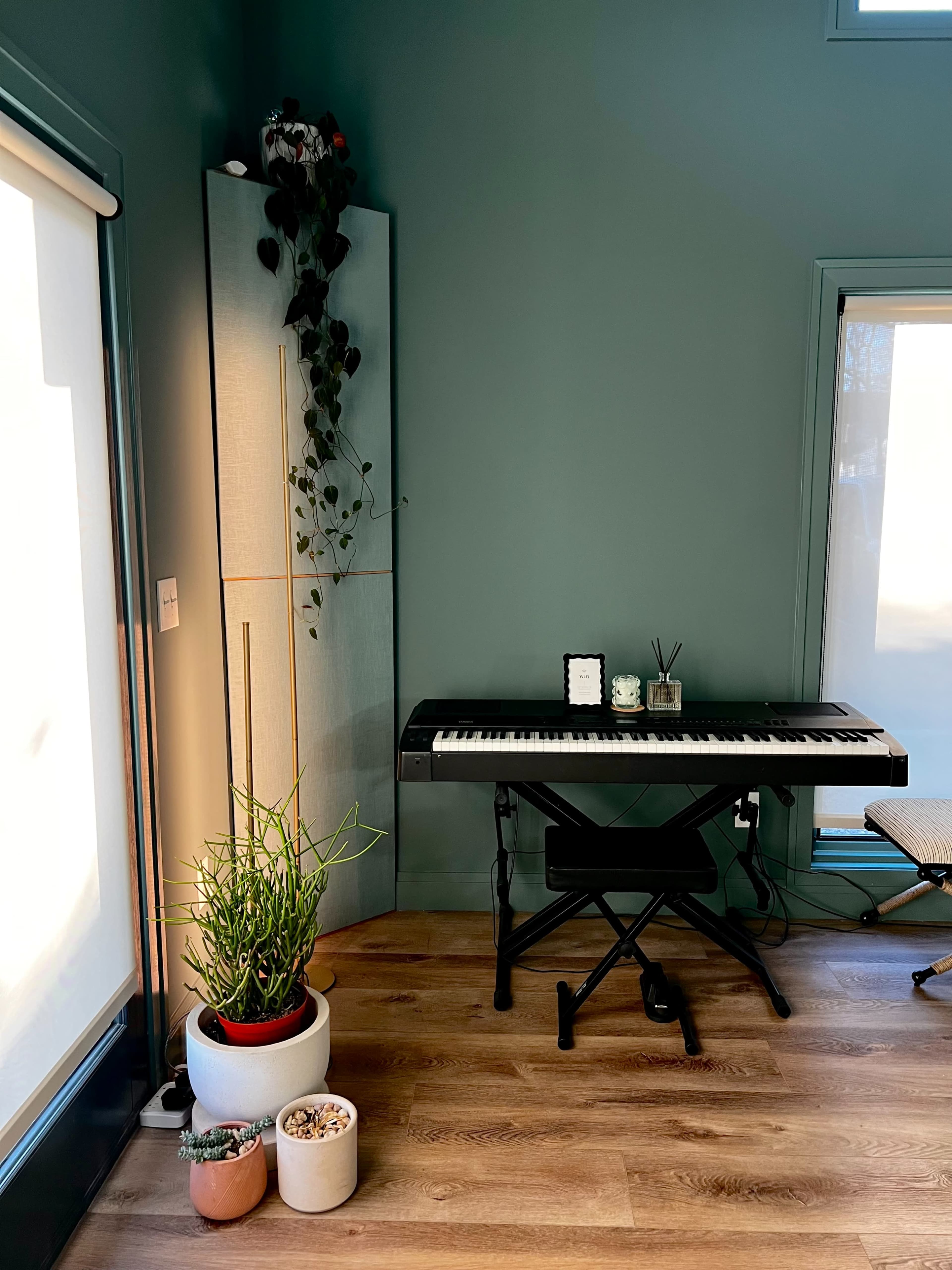 A digital piano sits next to a tall cabinet in a room with green walls, featuring houseplants and natural wood flooring.