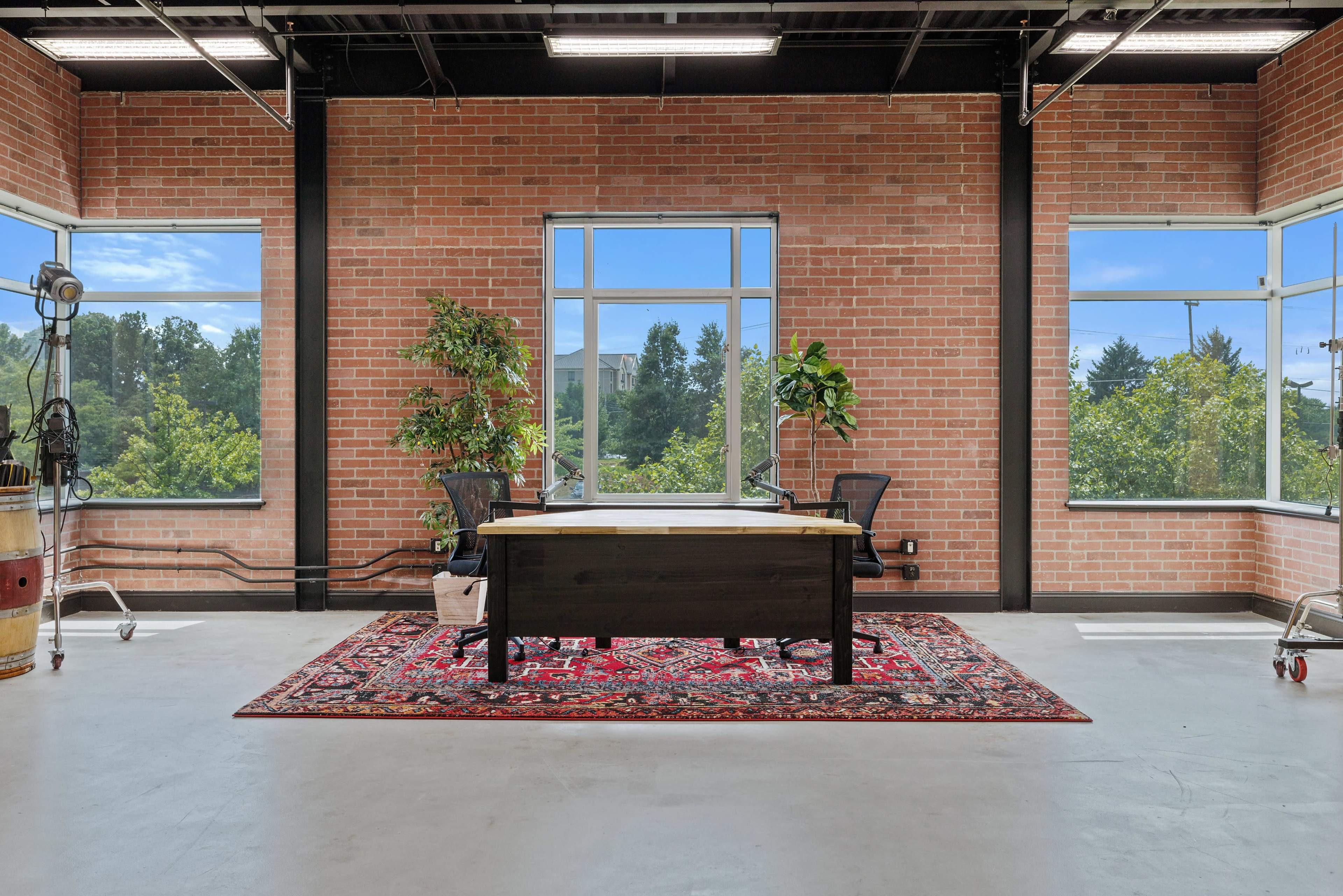 A modern office features a large desk on a patterned rug, surrounded by plants and windows that provide a view of greenery outside.
