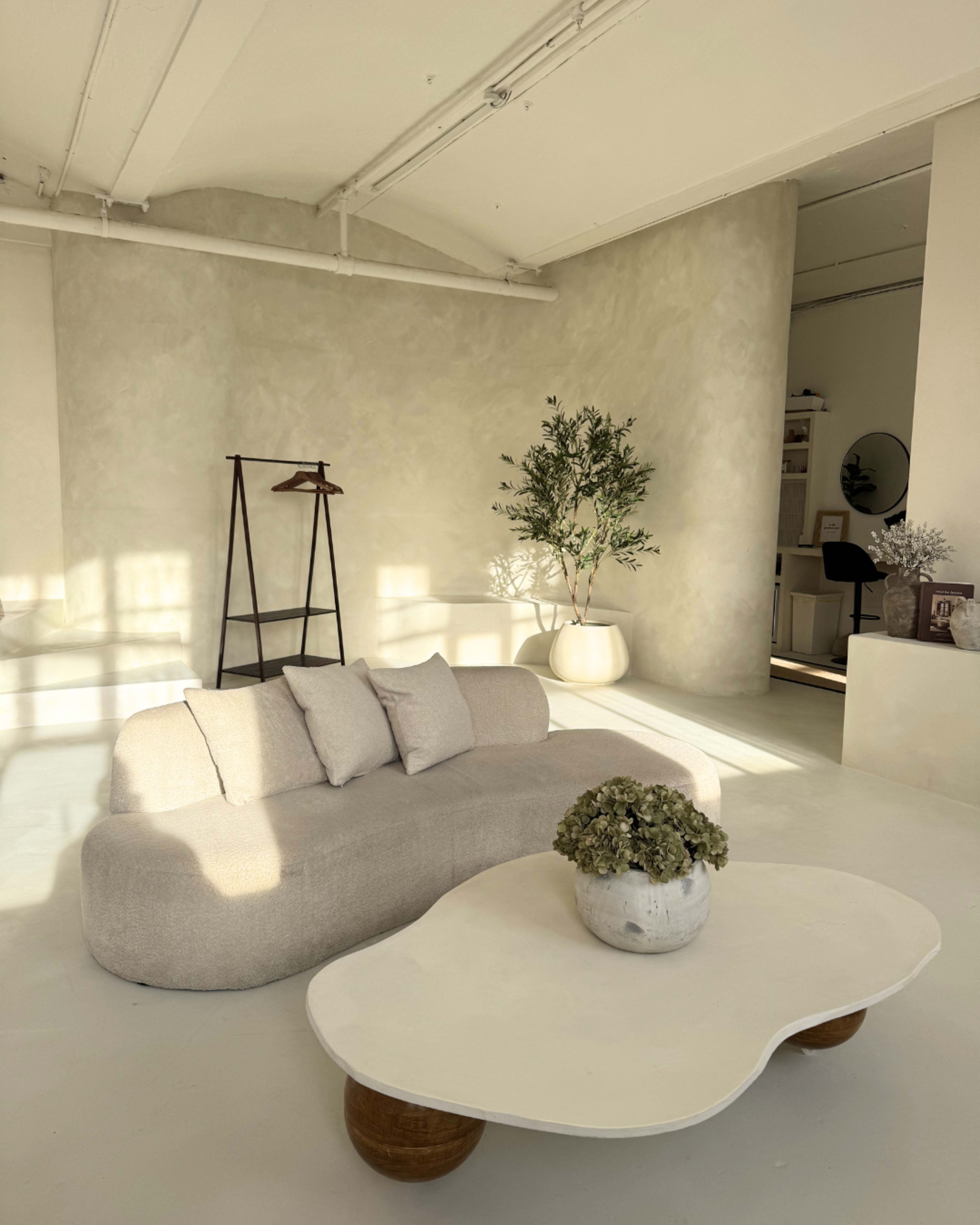 The image shows a minimalist living space featuring a light-colored sofa with cushions, a round coffee table, and a large plant in a pot, all illuminated by natural light.