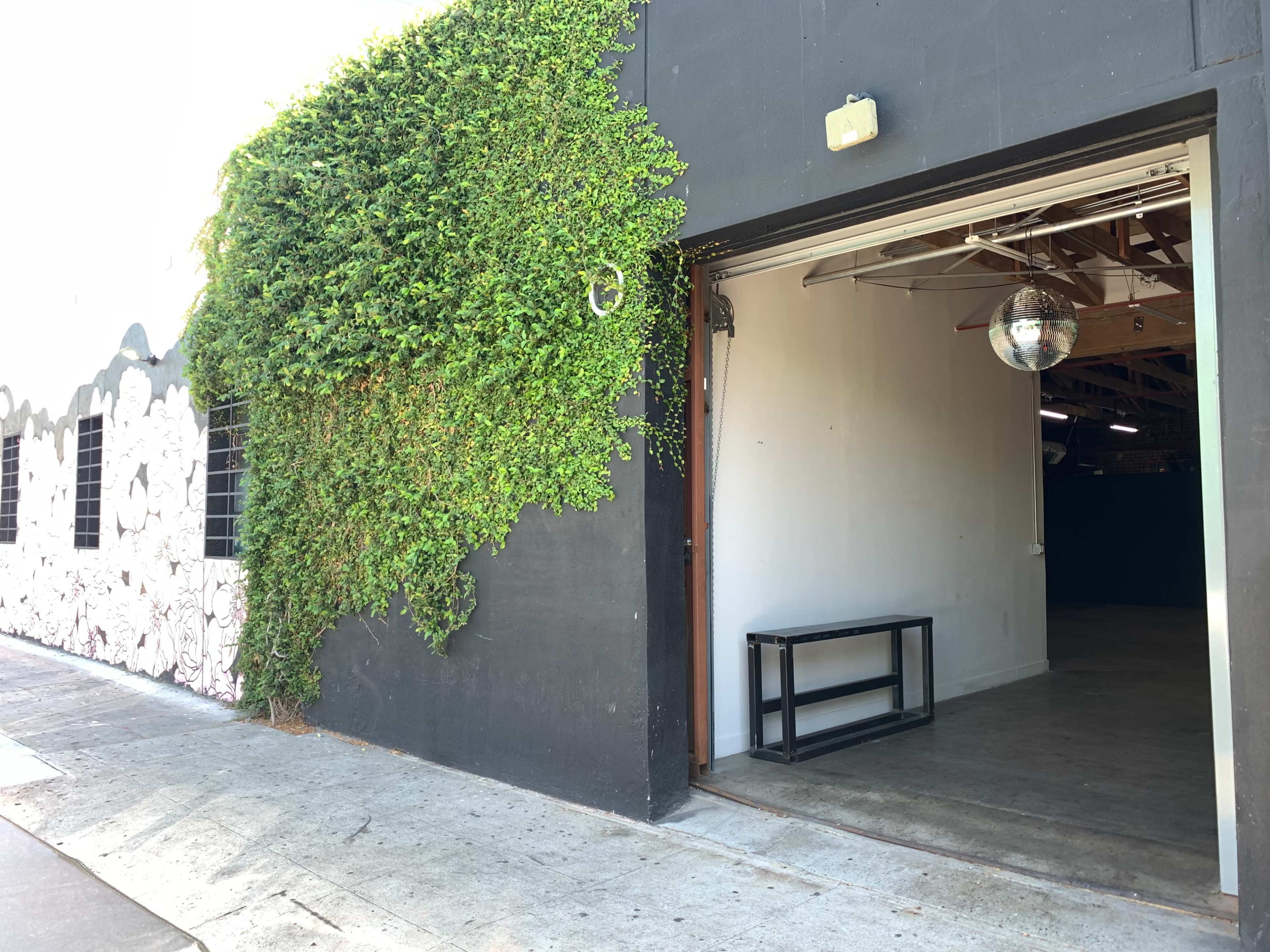 A large, green ivy-covered wall is next to an open doorway leading into a minimal interior space with a table and a disco ball hanging from the ceiling.