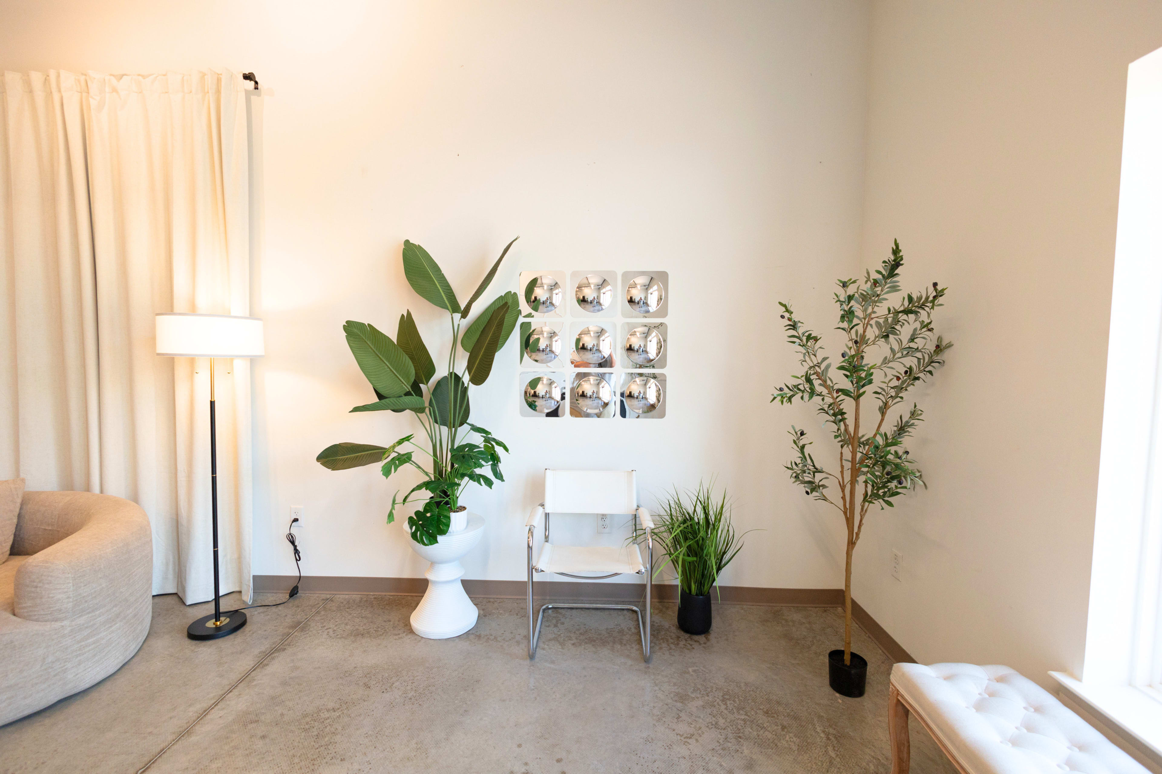 The image shows a corner of a room with a chair, potted plants, a lamp, and wall decor featuring multiple circular frames.