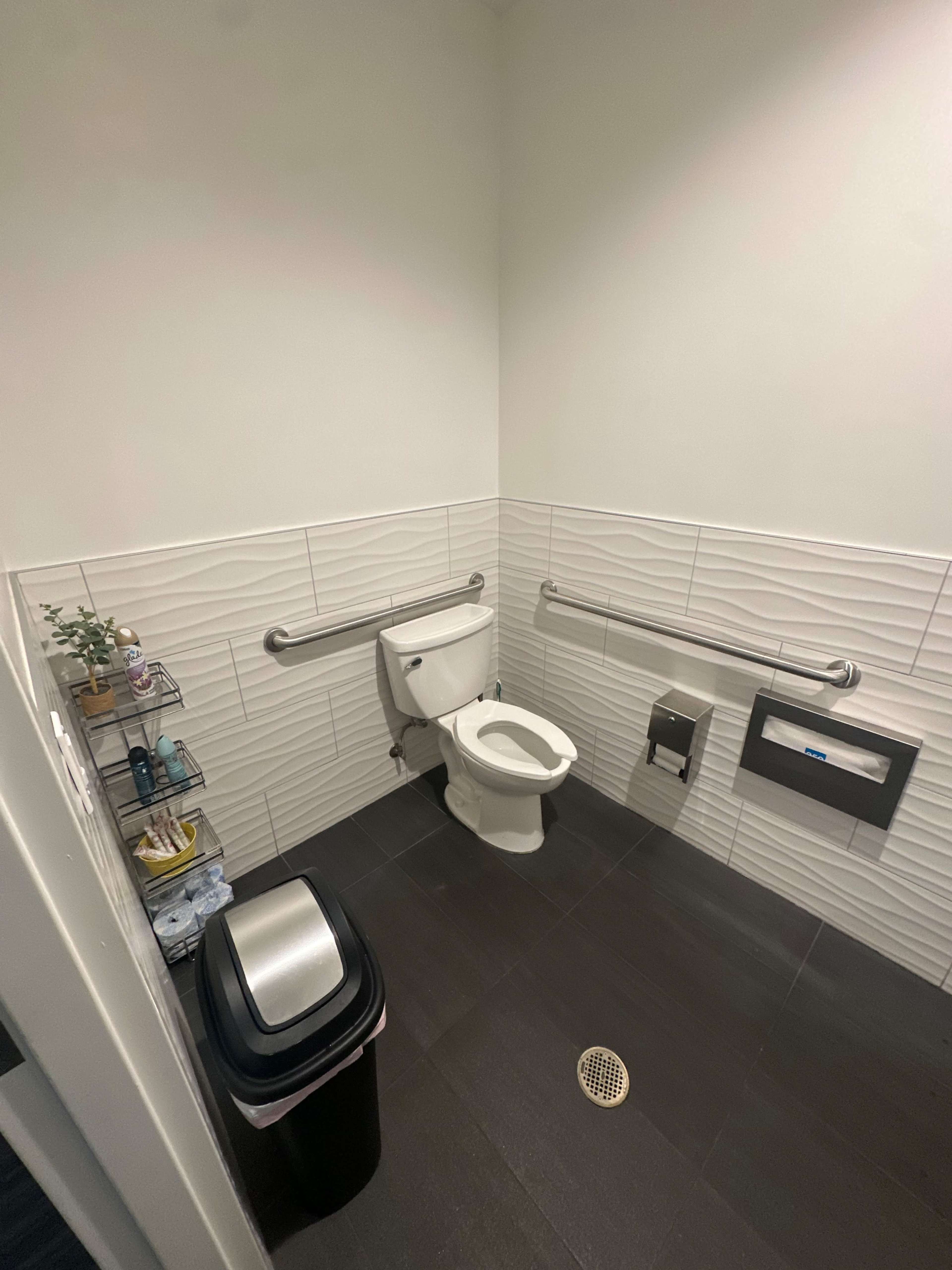 A small restroom features a toilet, handrails, a waste bin, and a shelf with toiletries on one side.
