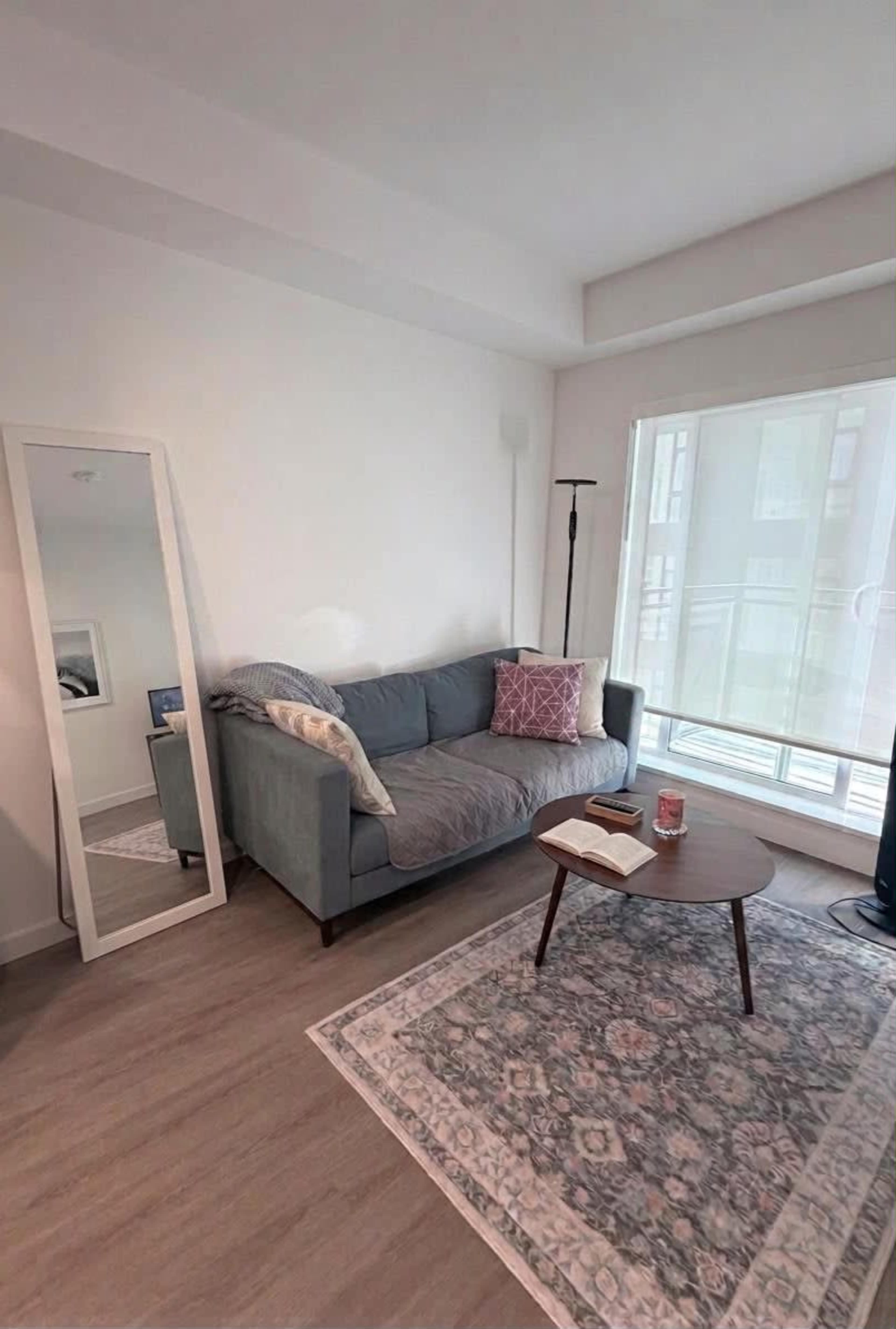 The image shows a modern living room featuring a gray sofa, a round coffee table, a patterned area rug, and a large mirror against a white wall.