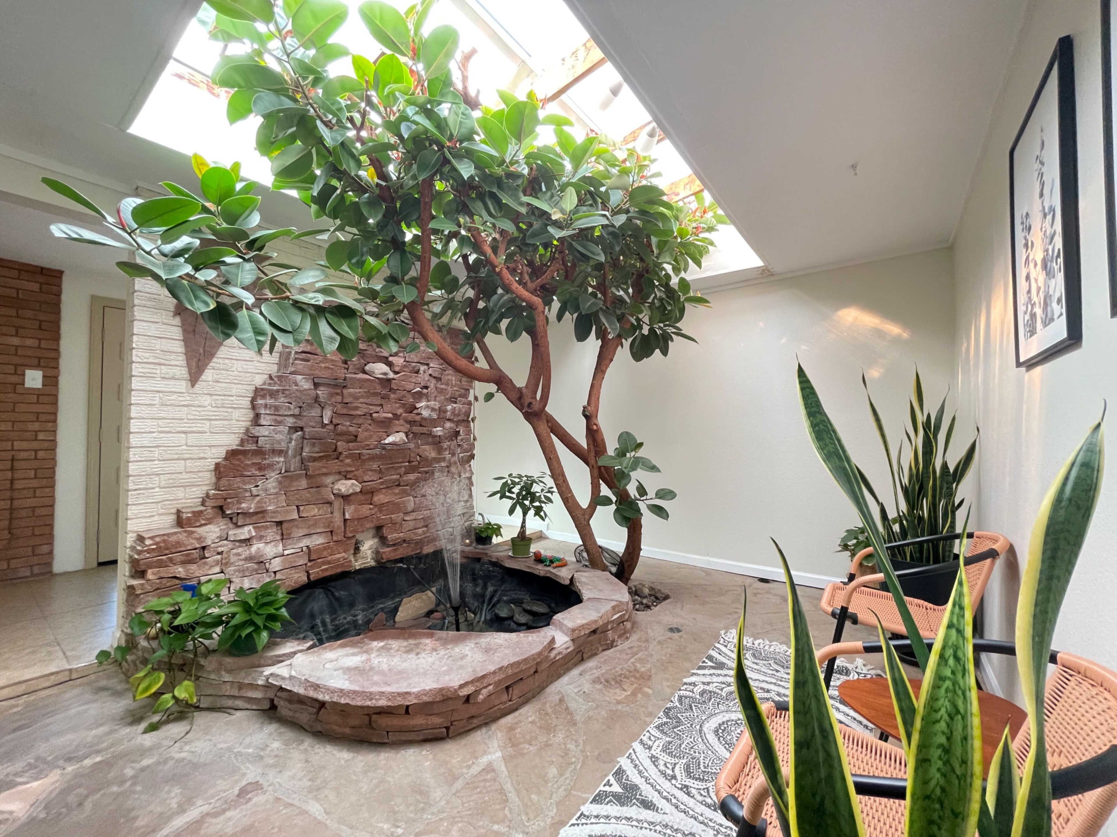The image shows an indoor space featuring a large tree, a stone pond, potted plants, and wicker chairs arranged around a patterned rug.
