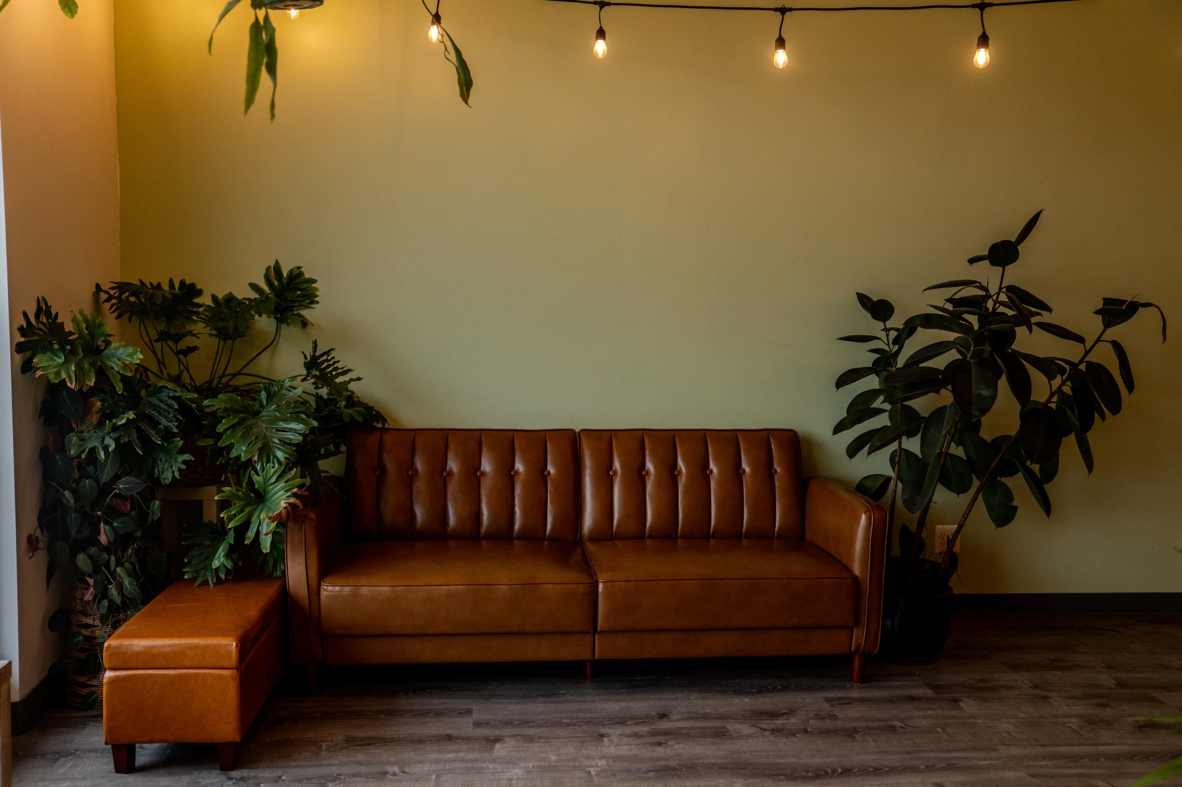 Photography Studio/Dance Hall/ Coworking. Open space, well lit. Option for warm lights. Image in Portage Park, Chicago, IL